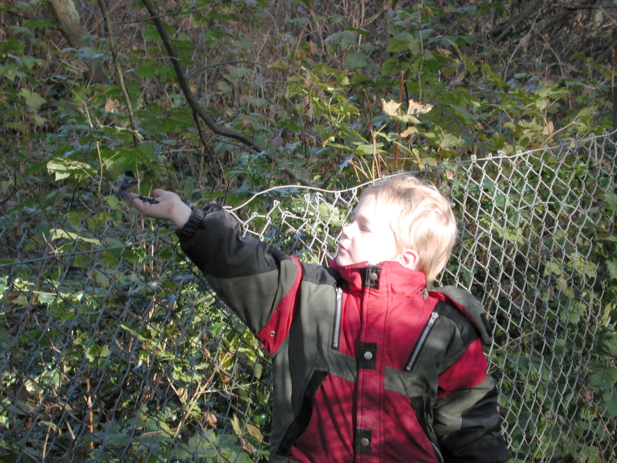 DSCN1079.JPG, 869684 bytes, 1/31/01