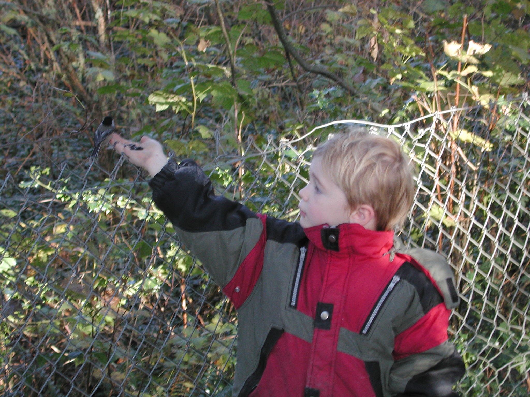 DSCN1080.JPG, 755384 bytes, 1/31/01