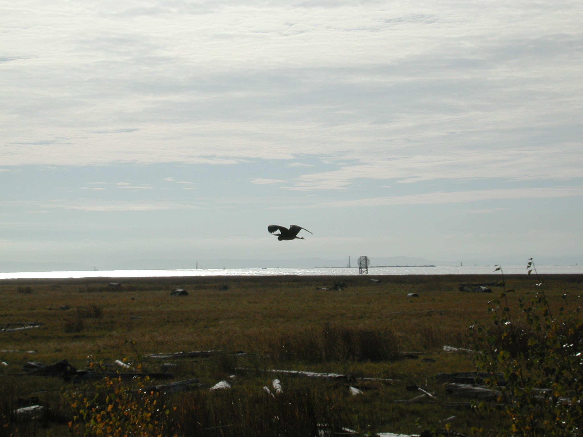 DSCN1006.JPG, 670670 bytes, 11/02/00