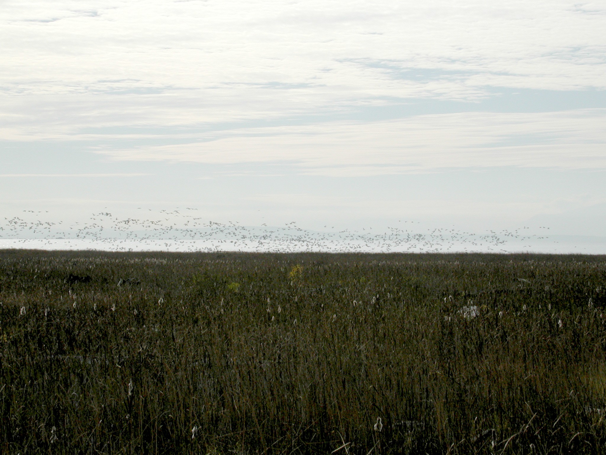 DSCN1012.JPG, 708840 bytes, 11/02/00