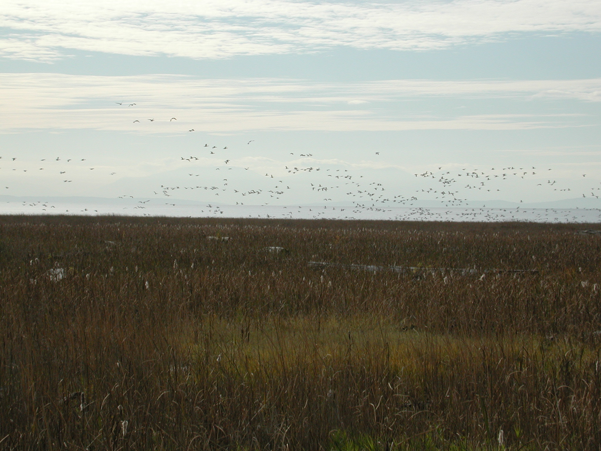 DSCN1013.JPG, 650999 bytes, 11/02/00