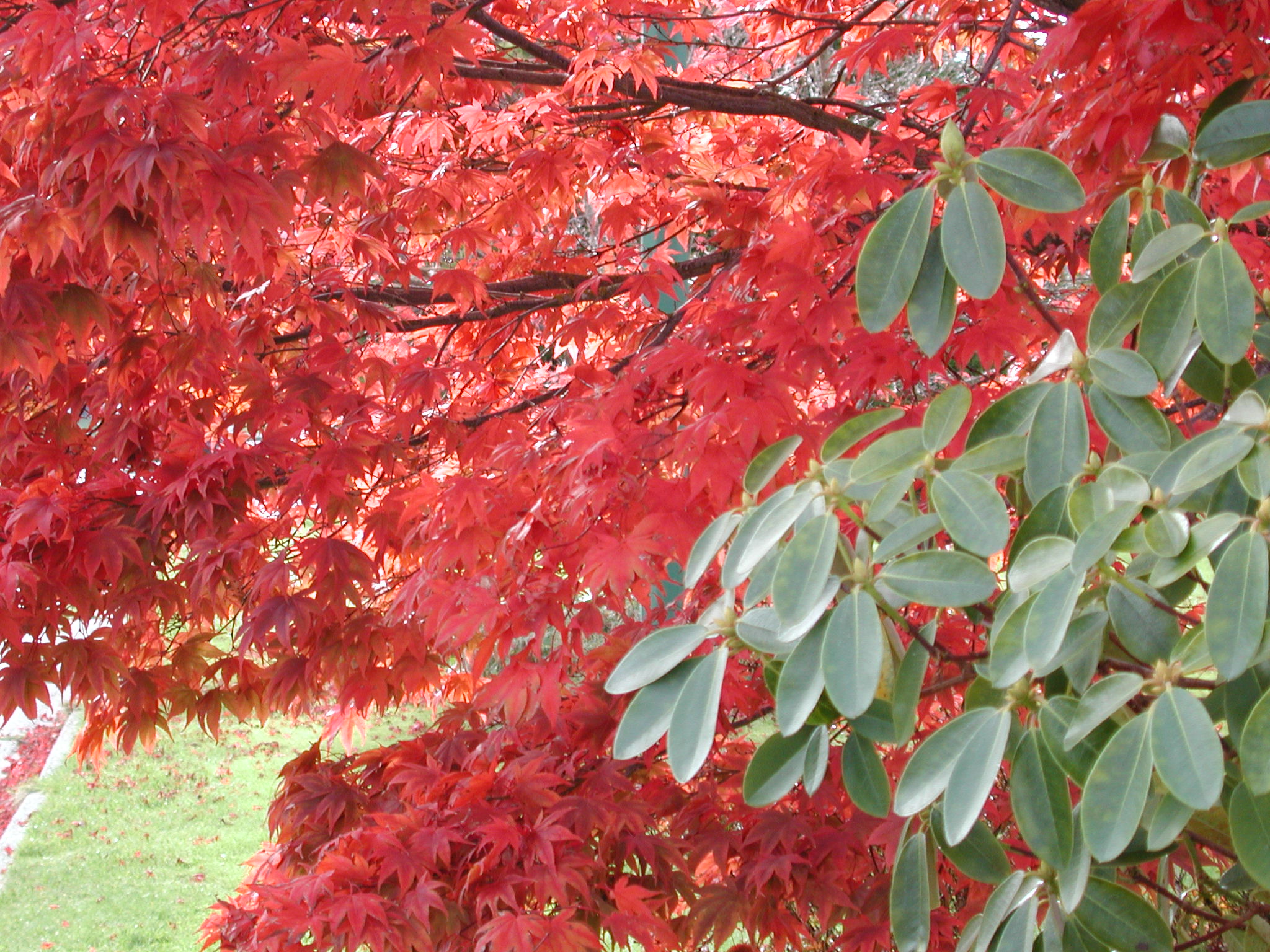 DSCN1018.JPG, 717603 bytes, 11/02/00