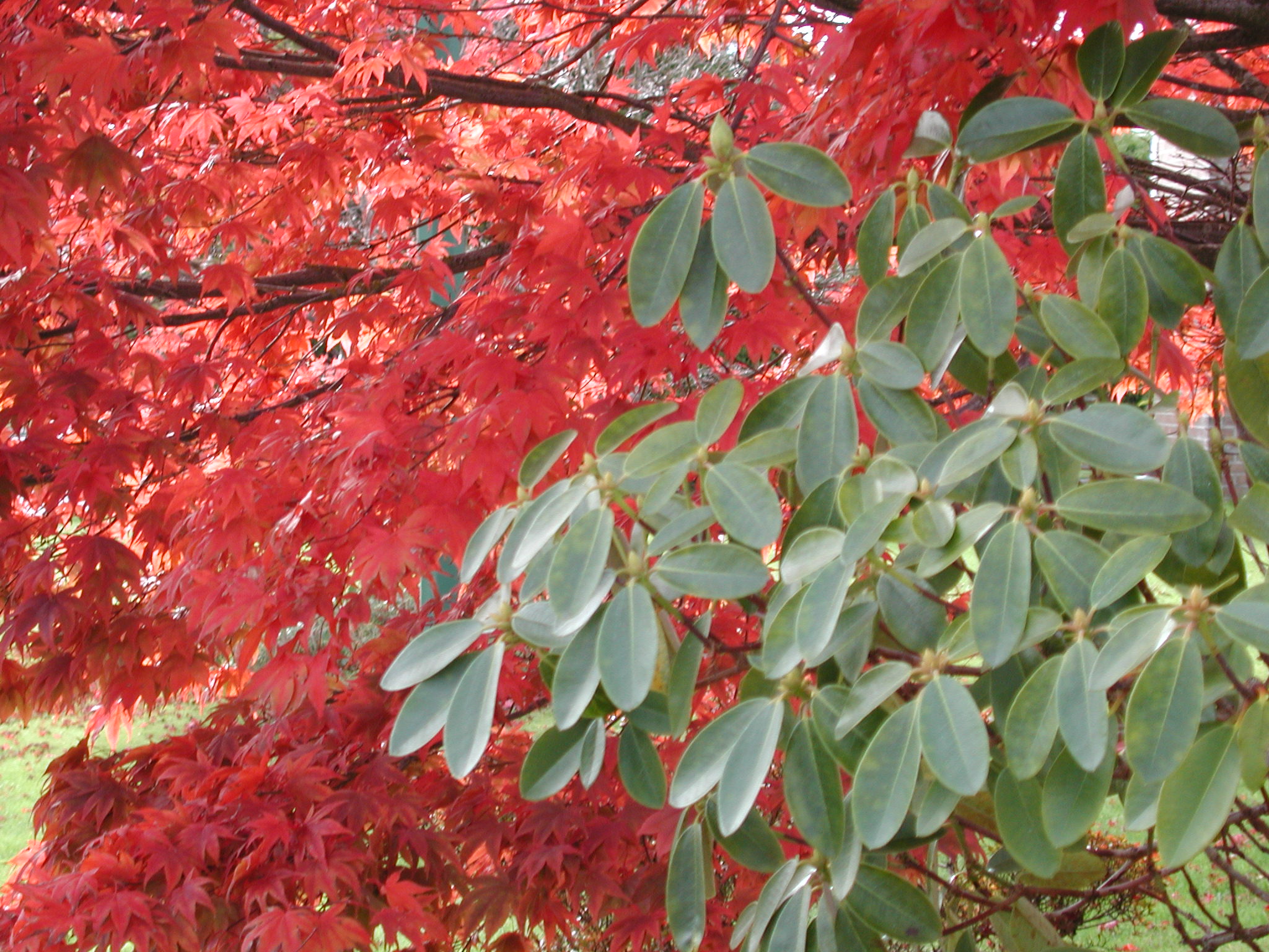 DSCN1019.JPG, 693421 bytes, 11/02/00