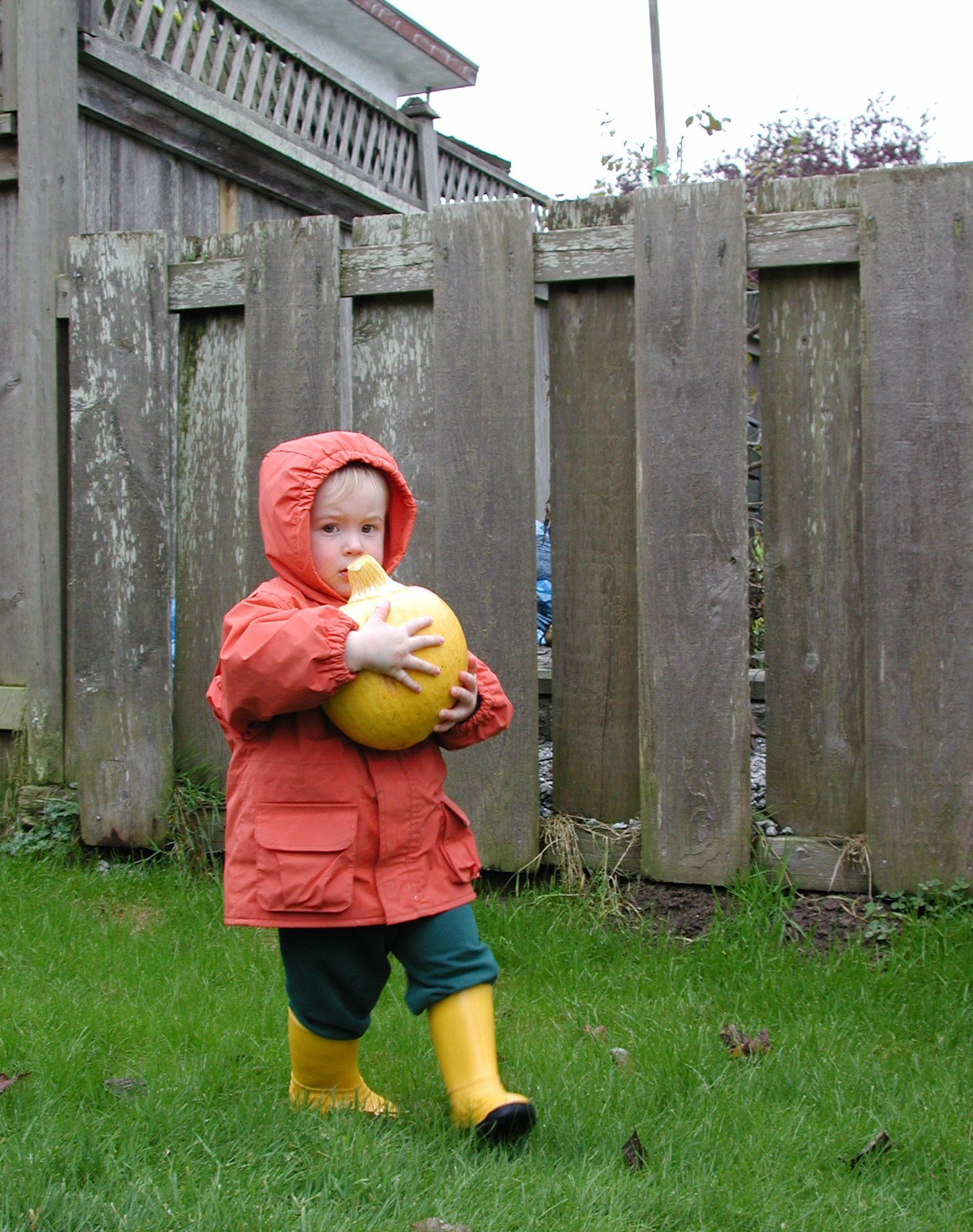 DSCN0959.JPG, 666419 bytes, 11/02/00