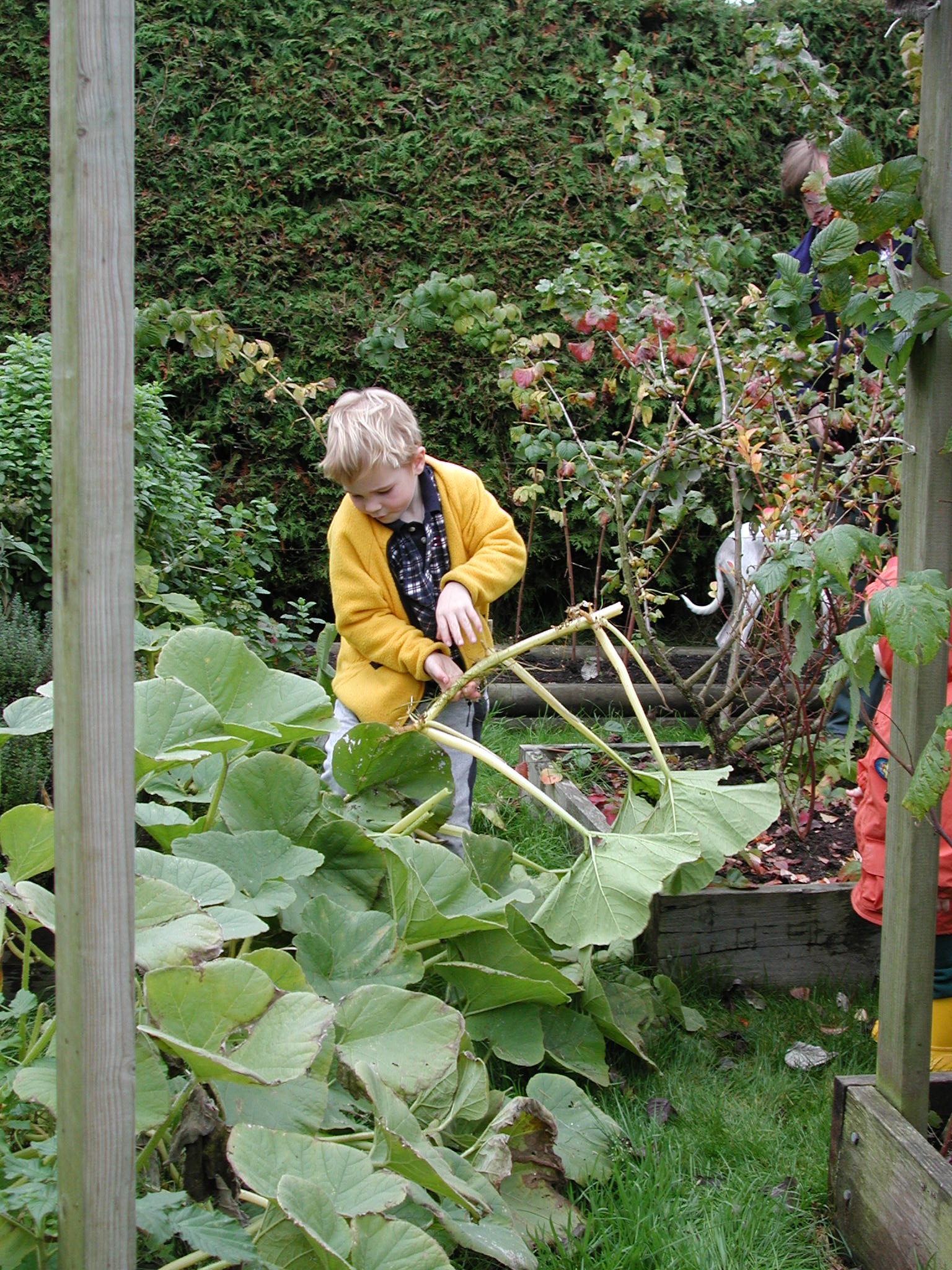 DSCN0963.JPG, 946365 bytes, 11/02/00