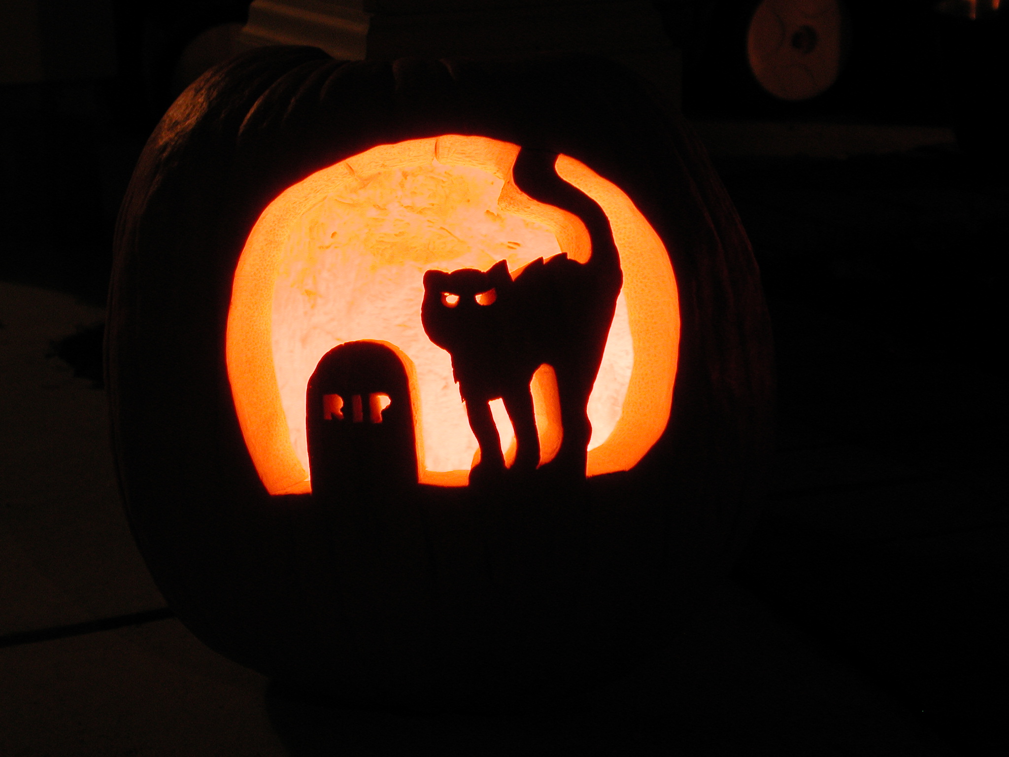 DSCN0985.JPG, 550127 bytes, 11/01/00