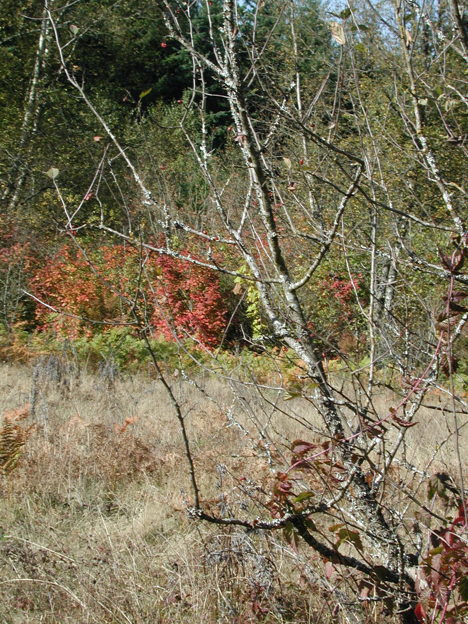 DSCN0920.JPG, 1096859 bytes, 10/27/00