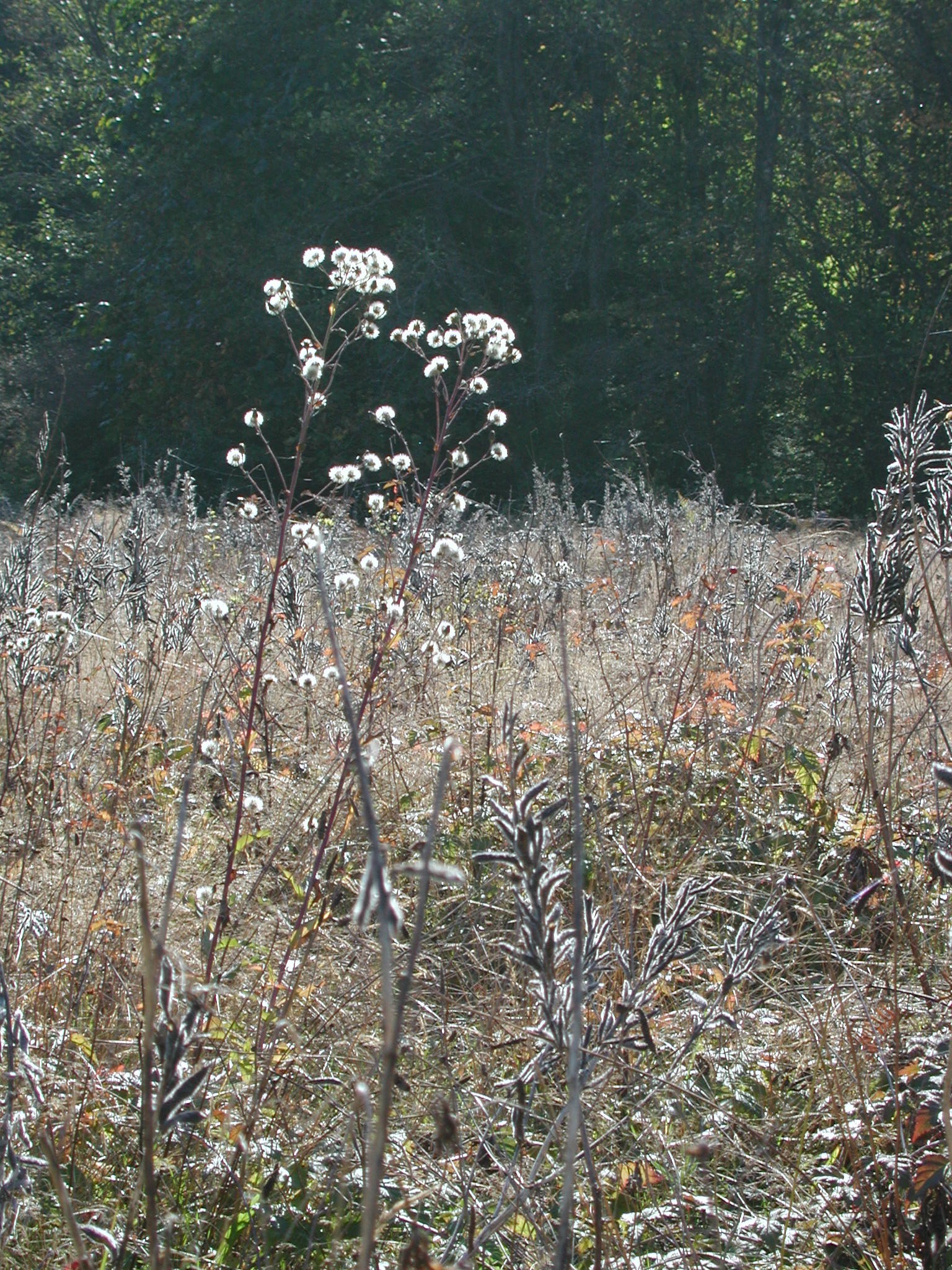 DSCN0922.JPG, 1036420 bytes, 10/27/00