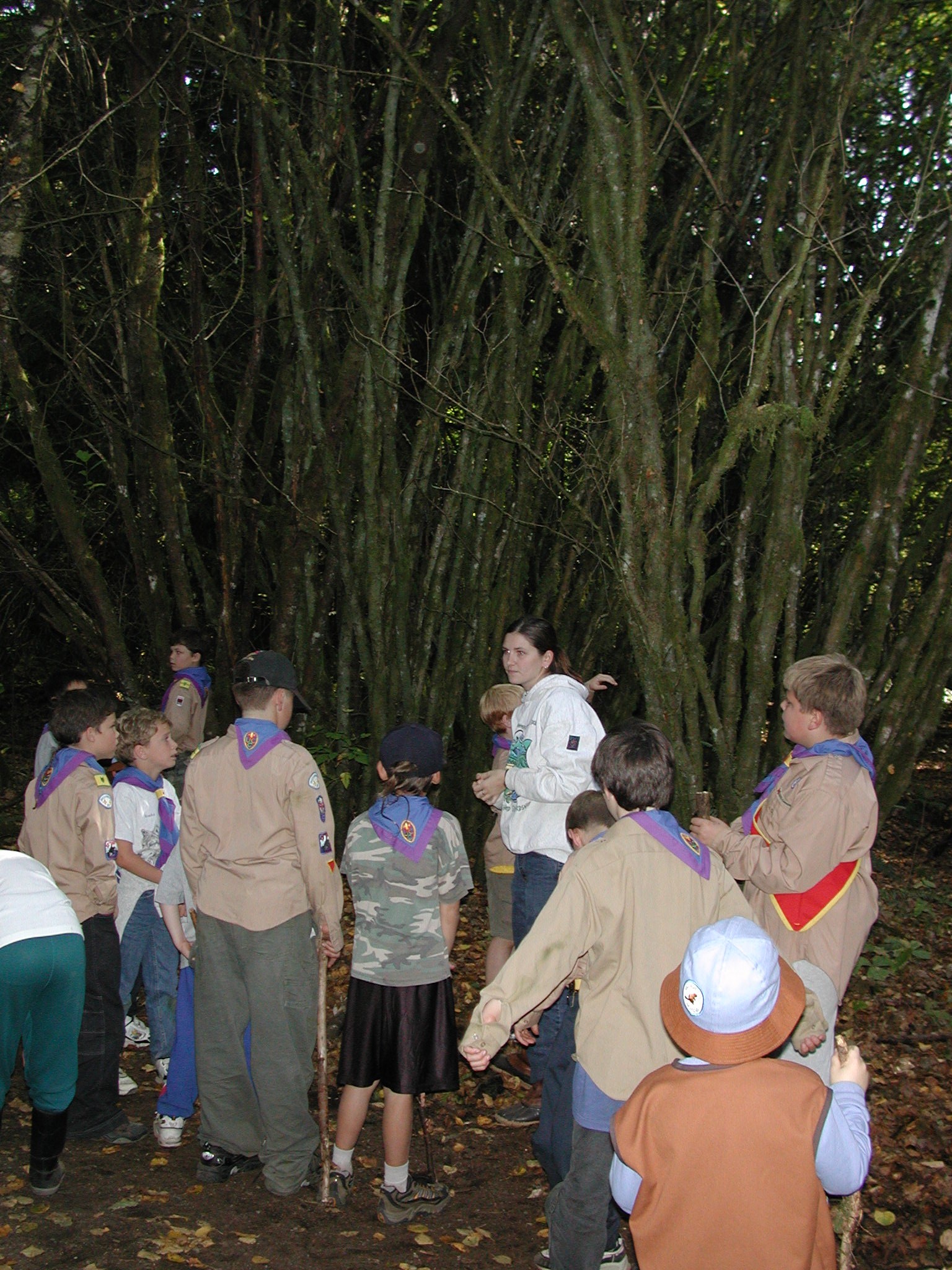 DSCN0923.JPG, 802929 bytes, 10/27/00