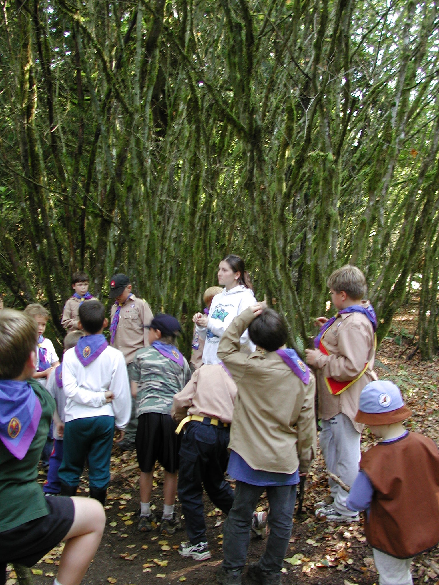 DSCN0924.JPG, 857797 bytes, 10/27/00