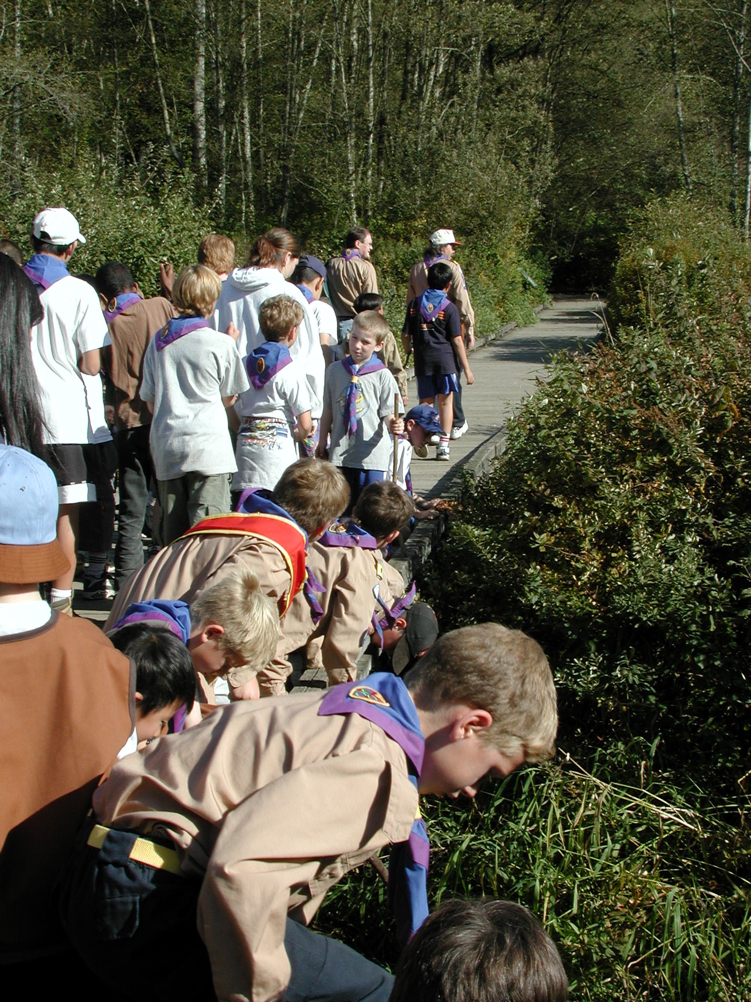 DSCN0931.JPG, 907142 bytes, 10/28/00