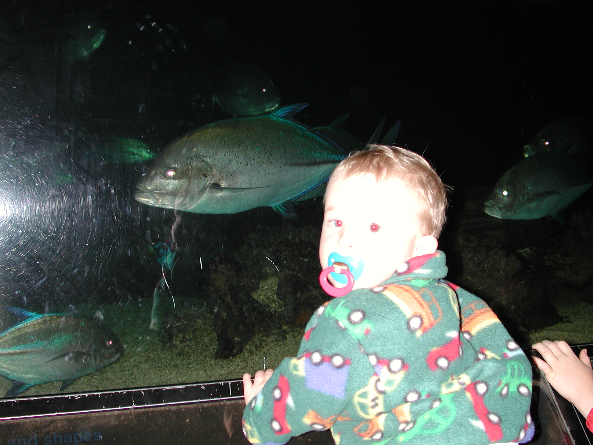 DSCN0696.JPG, 626827 bytes, 9/09/00