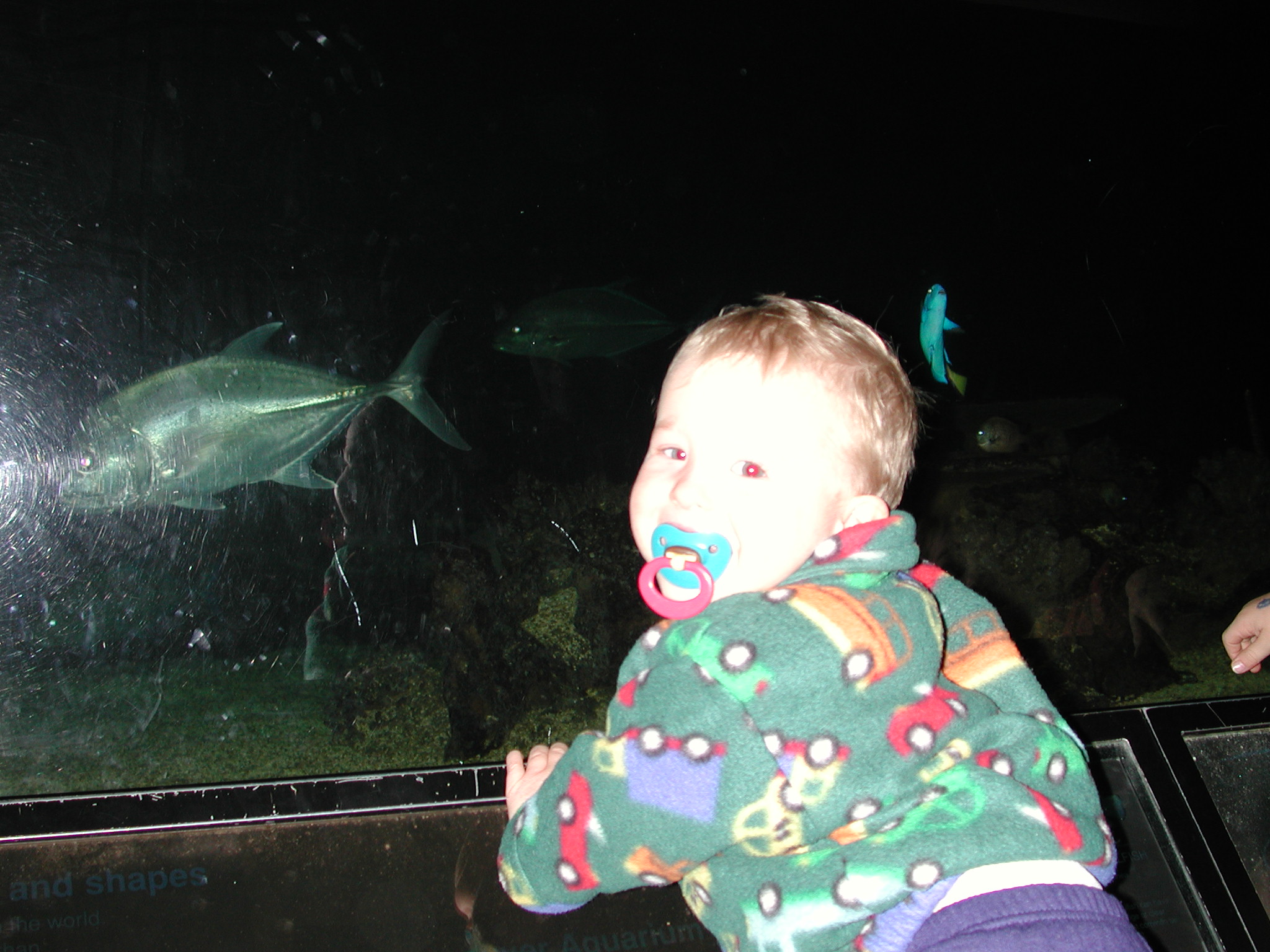 DSCN0697.JPG, 583379 bytes, 9/09/00