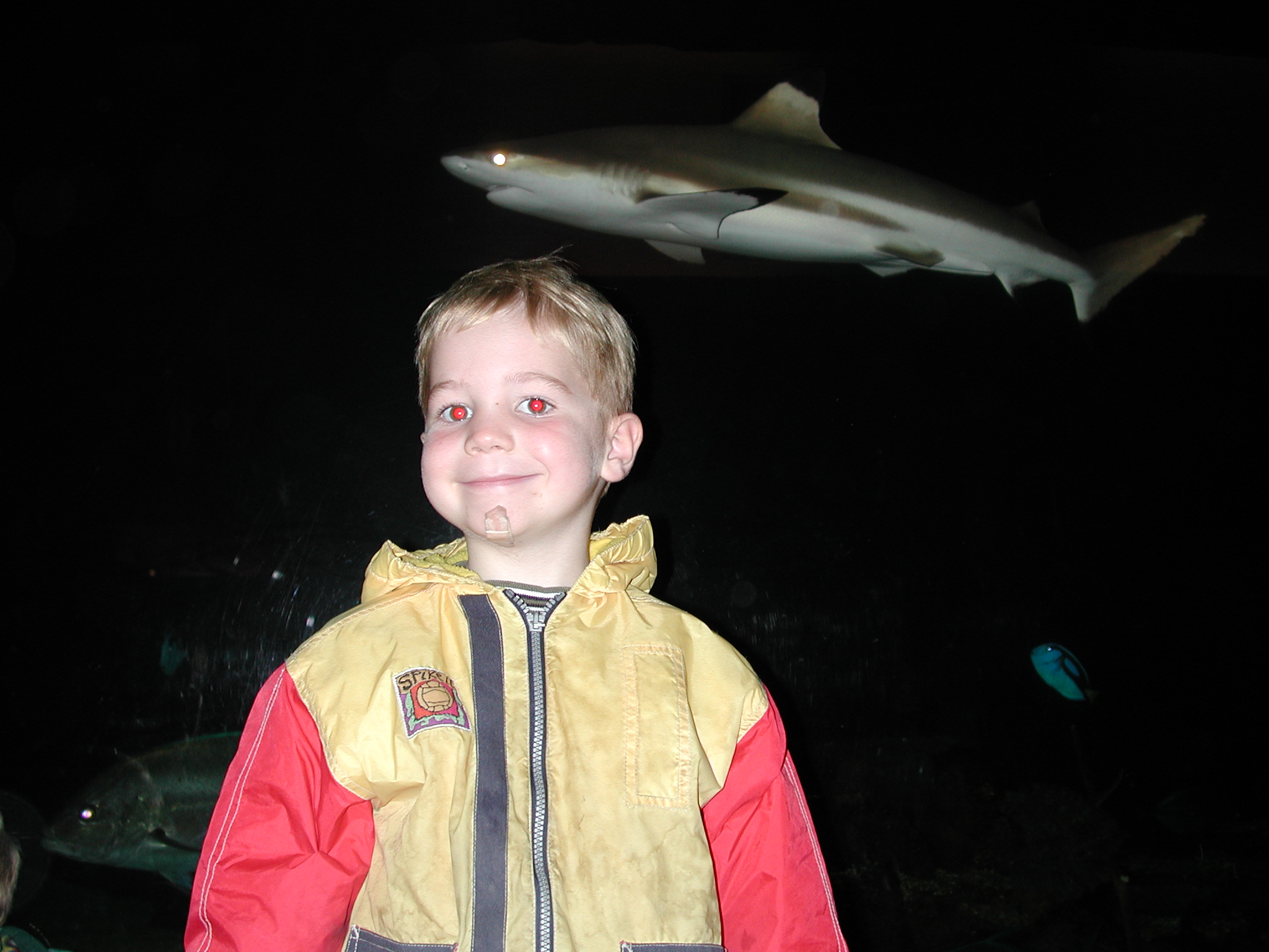 DSCN0699.JPG, 516055 bytes, 9/09/00