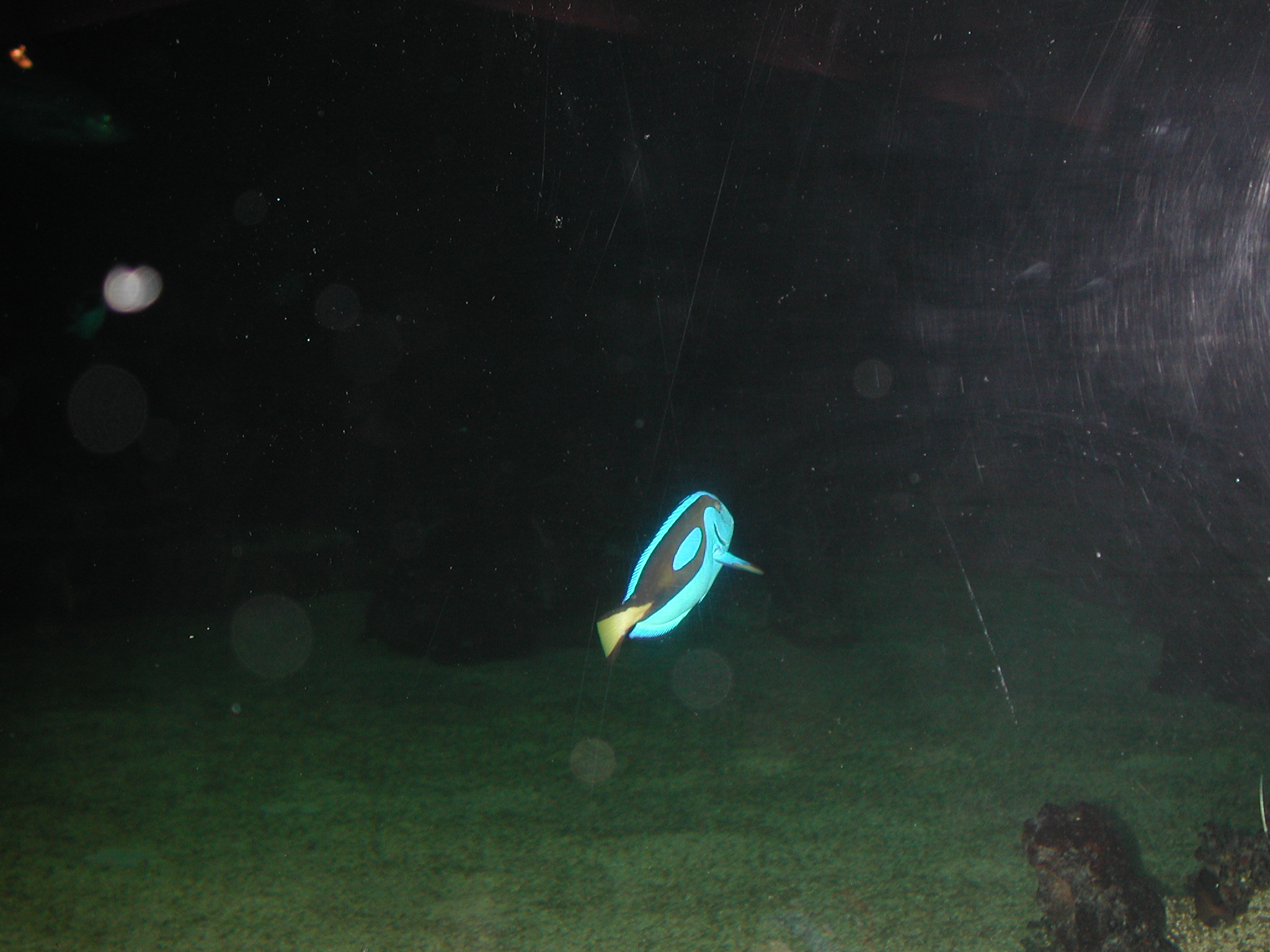 DSCN0700.JPG, 695036 bytes, 9/09/00