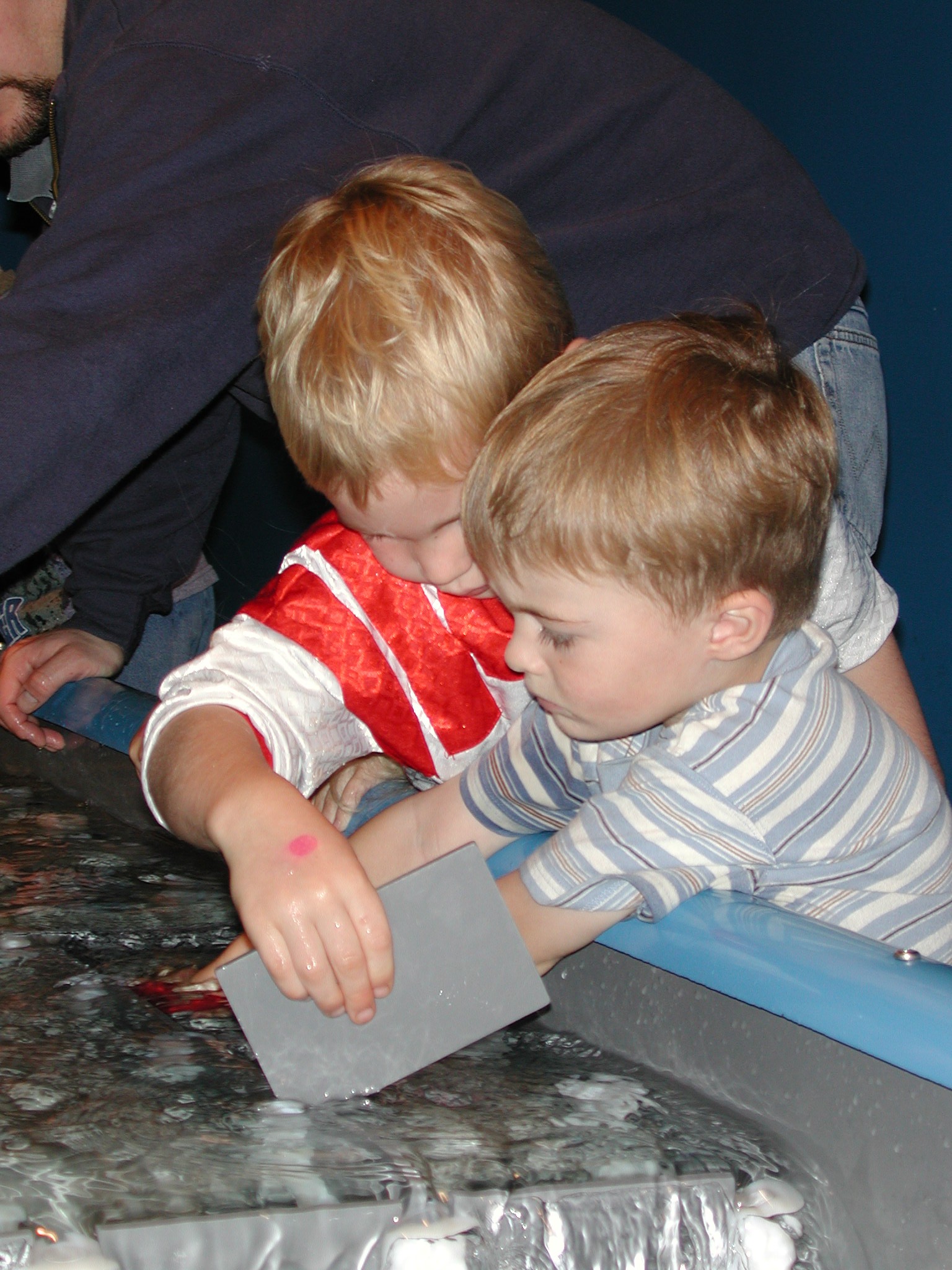 DSCN0772.JPG, 619669 bytes, 9/30/00