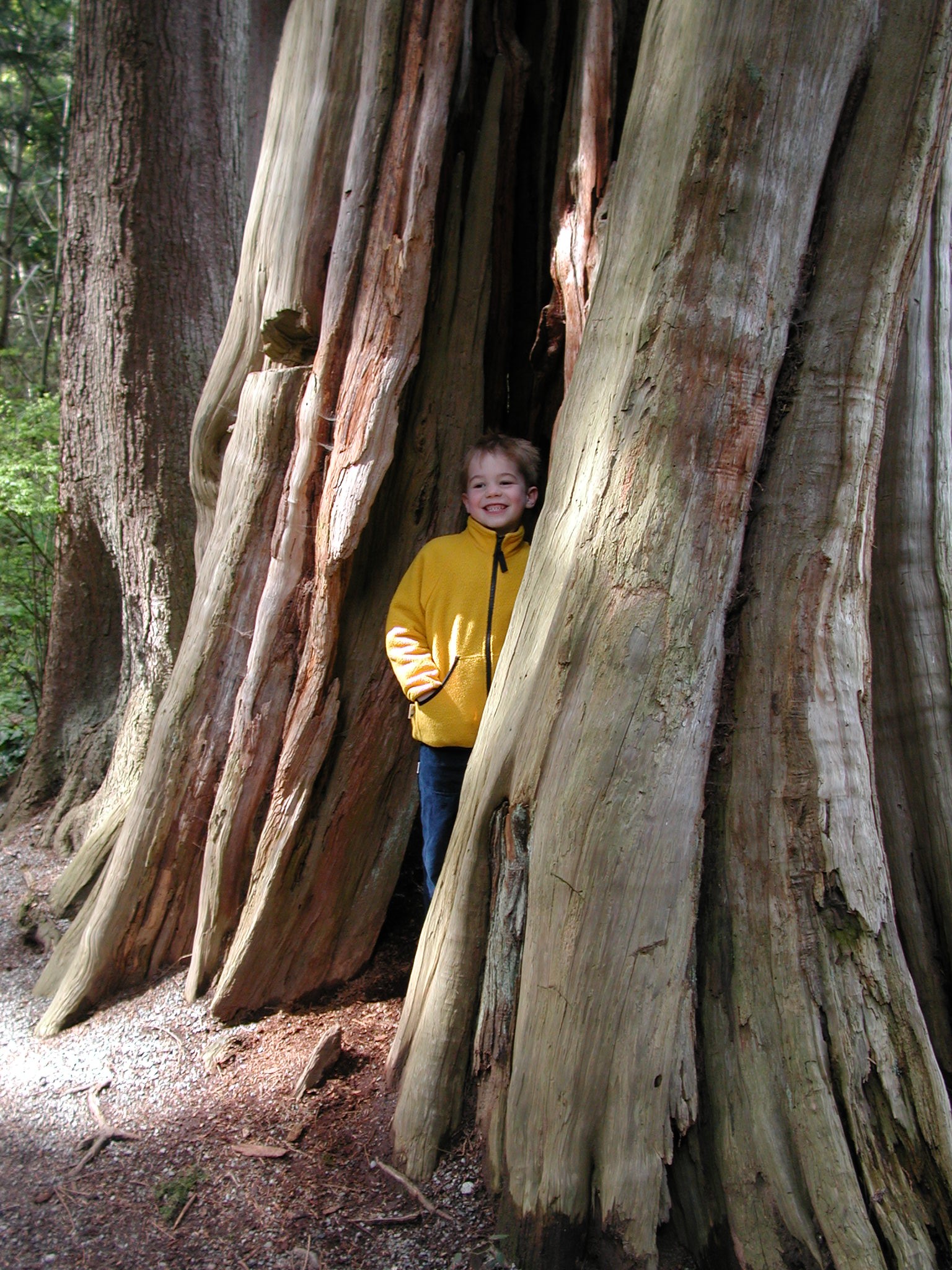 DSCN1595.JPG, 849196 bytes, 4/14/01