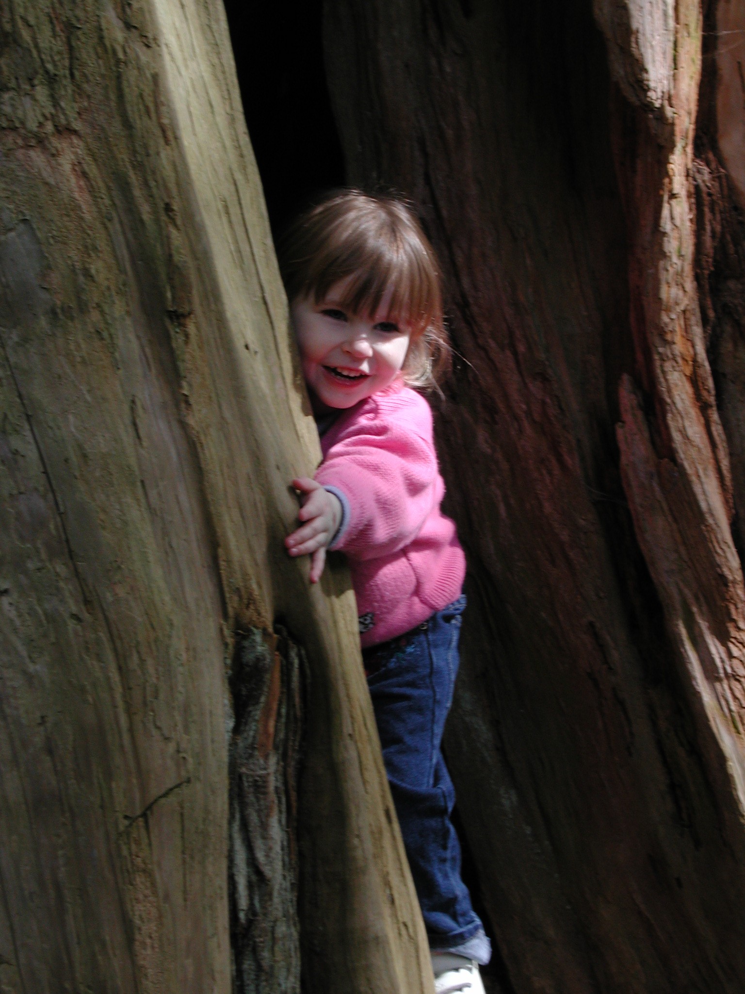 DSCN1596.JPG, 565312 bytes, 4/14/01