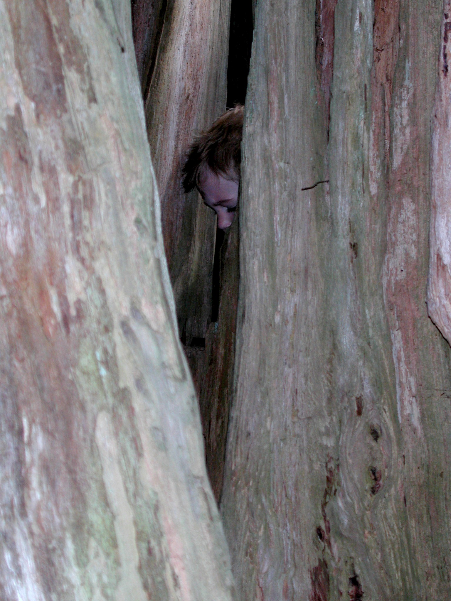 DSCN1598.JPG, 656388 bytes, 4/14/01