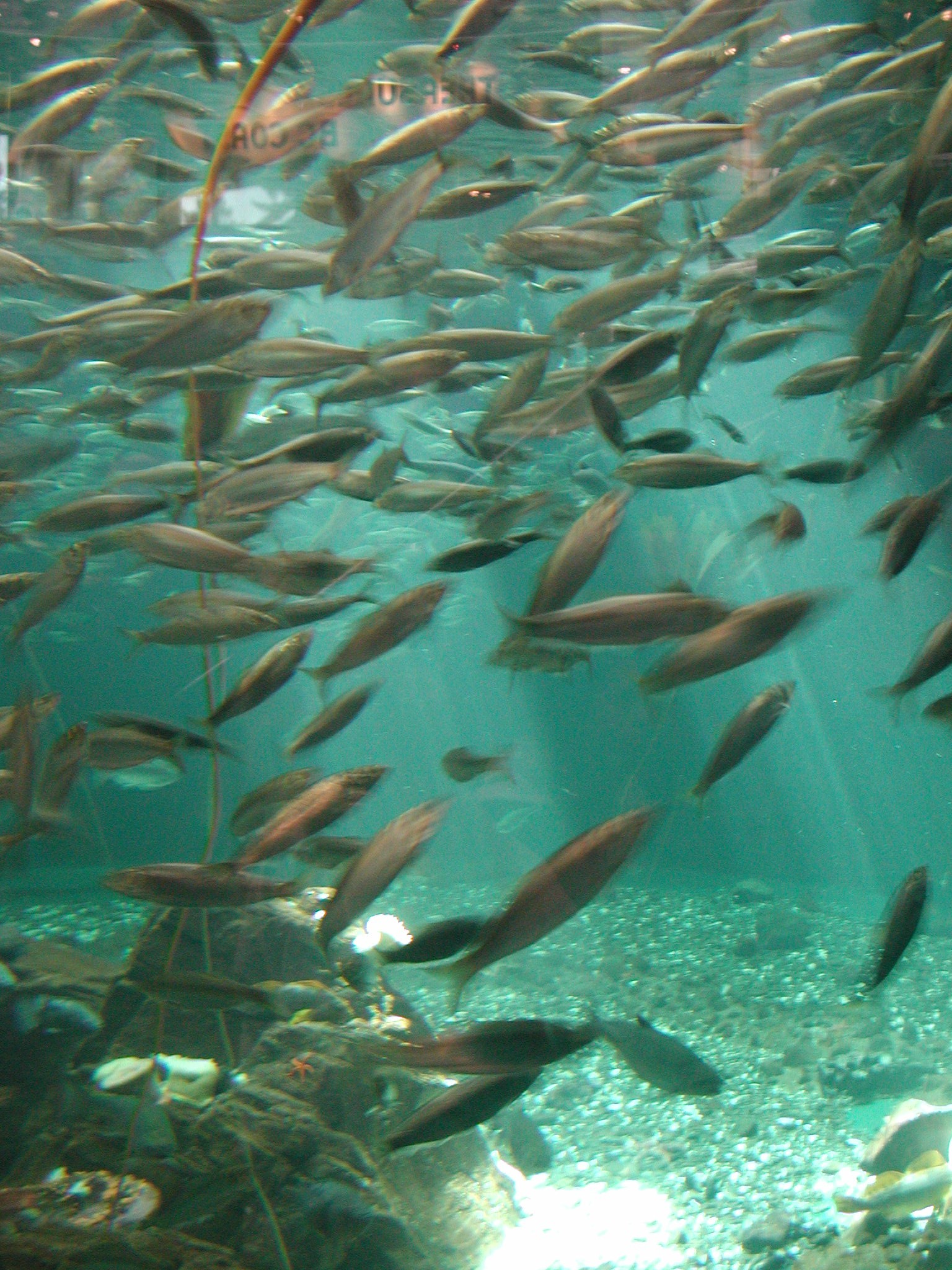 DSCN1600.JPG, 772602 bytes, 4/14/01