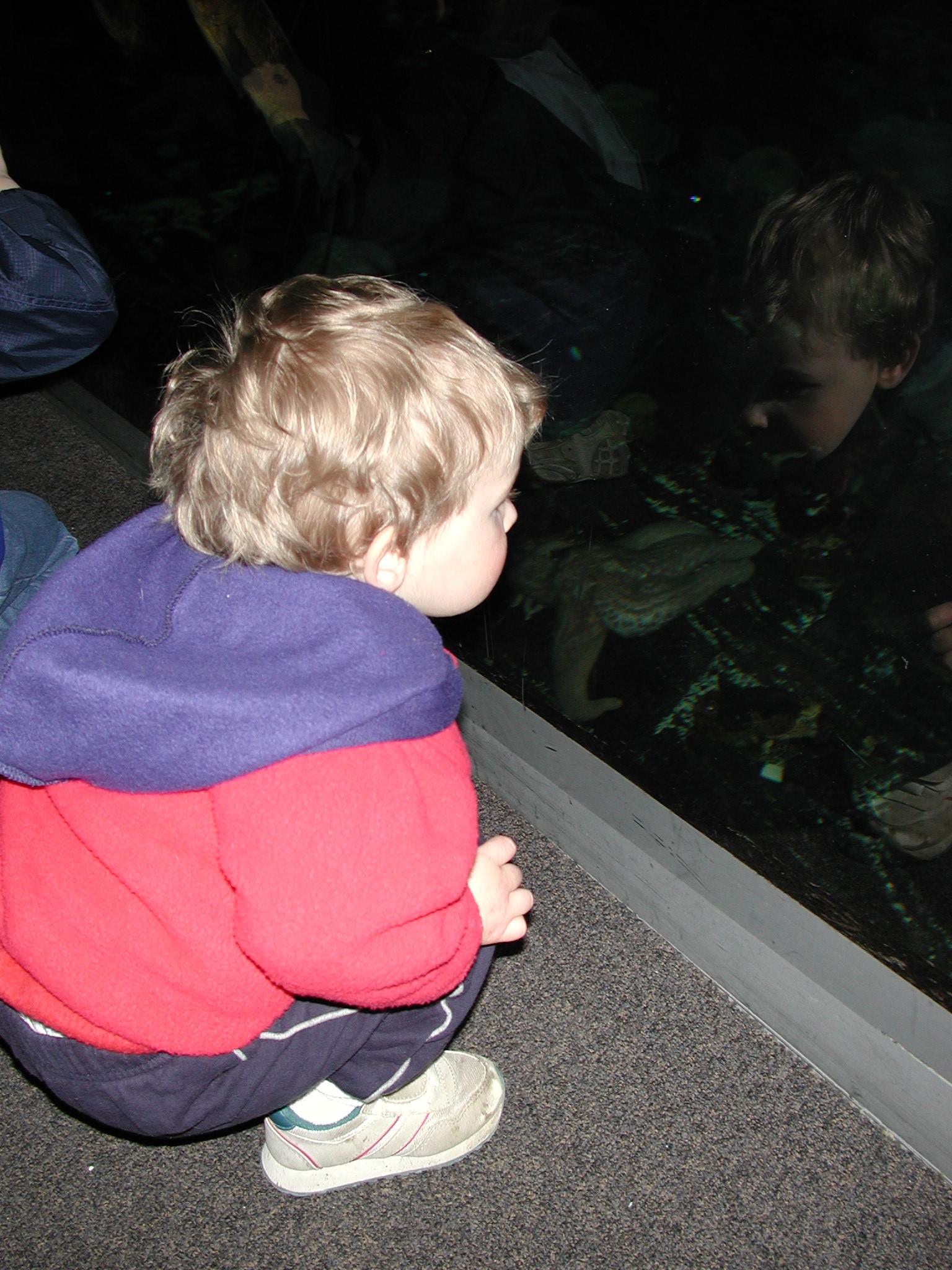 DSCN1604.JPG, 631033 bytes, 4/14/01