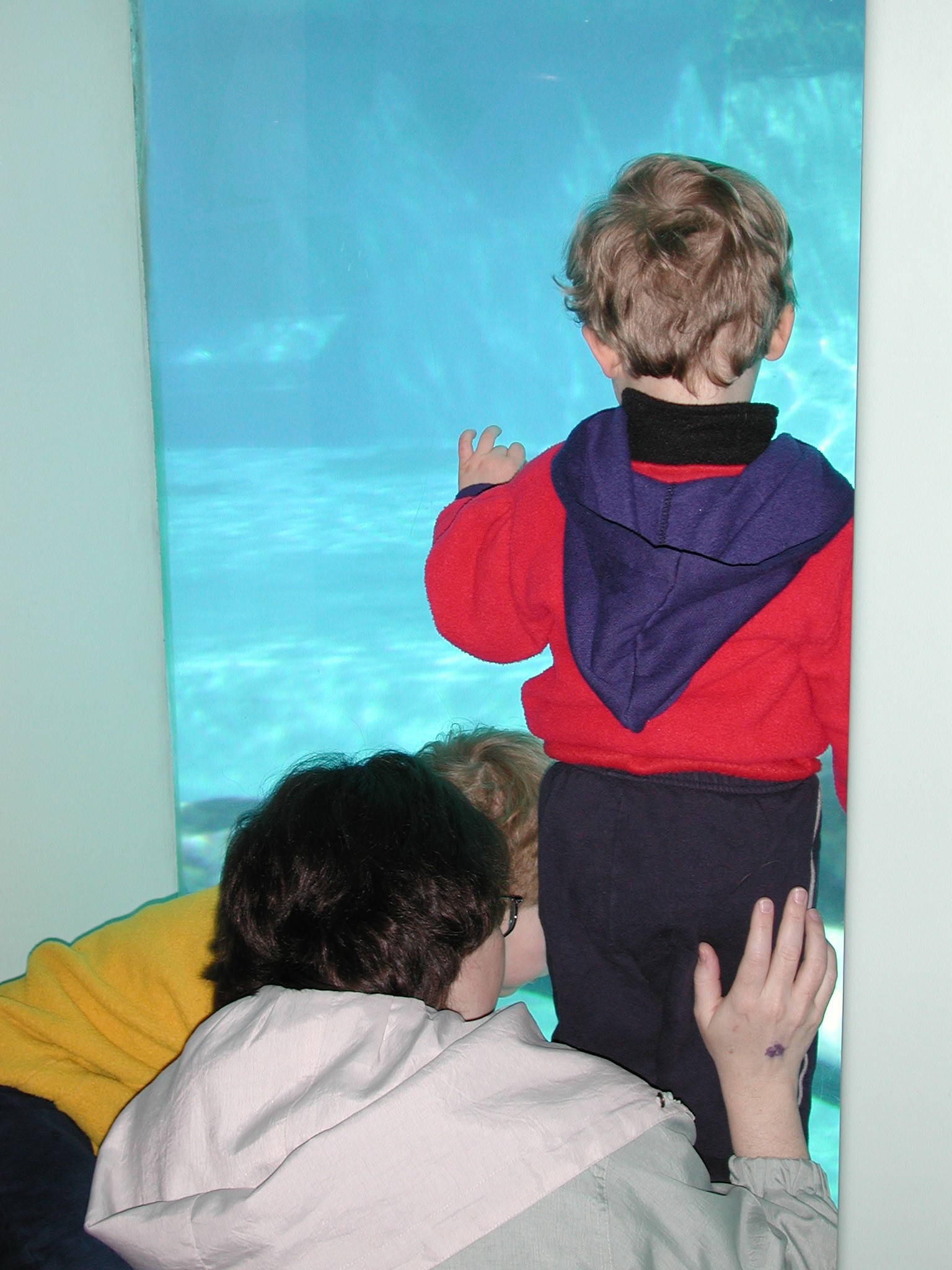 DSCN1614.JPG, 606769 bytes, 4/14/01