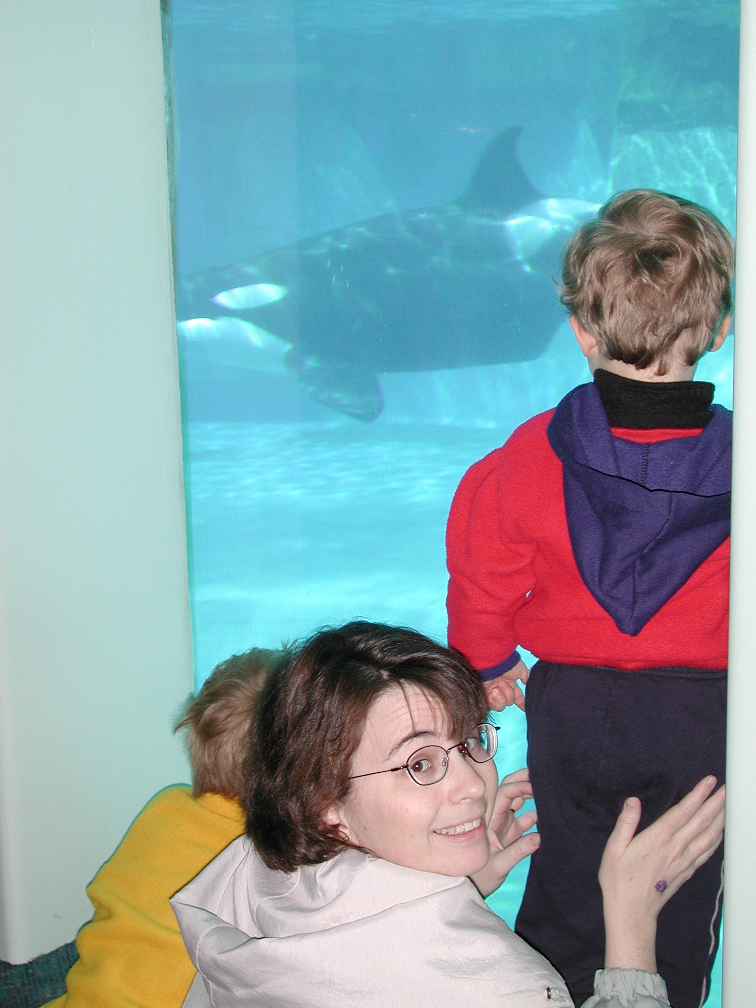 DSCN1615.JPG, 585955 bytes, 4/14/01