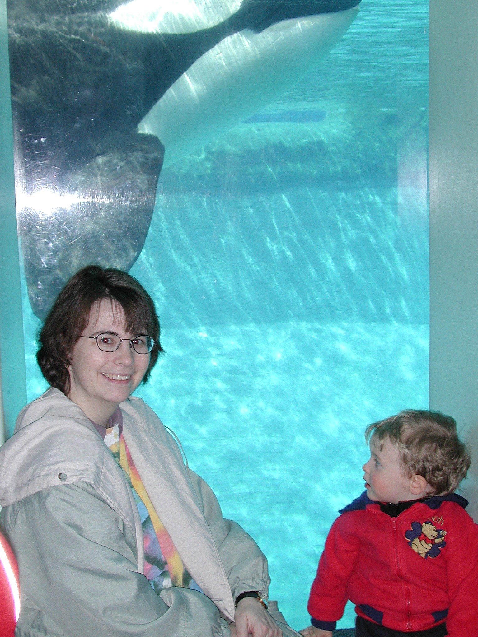 DSCN1623.JPG, 608842 bytes, 4/14/01