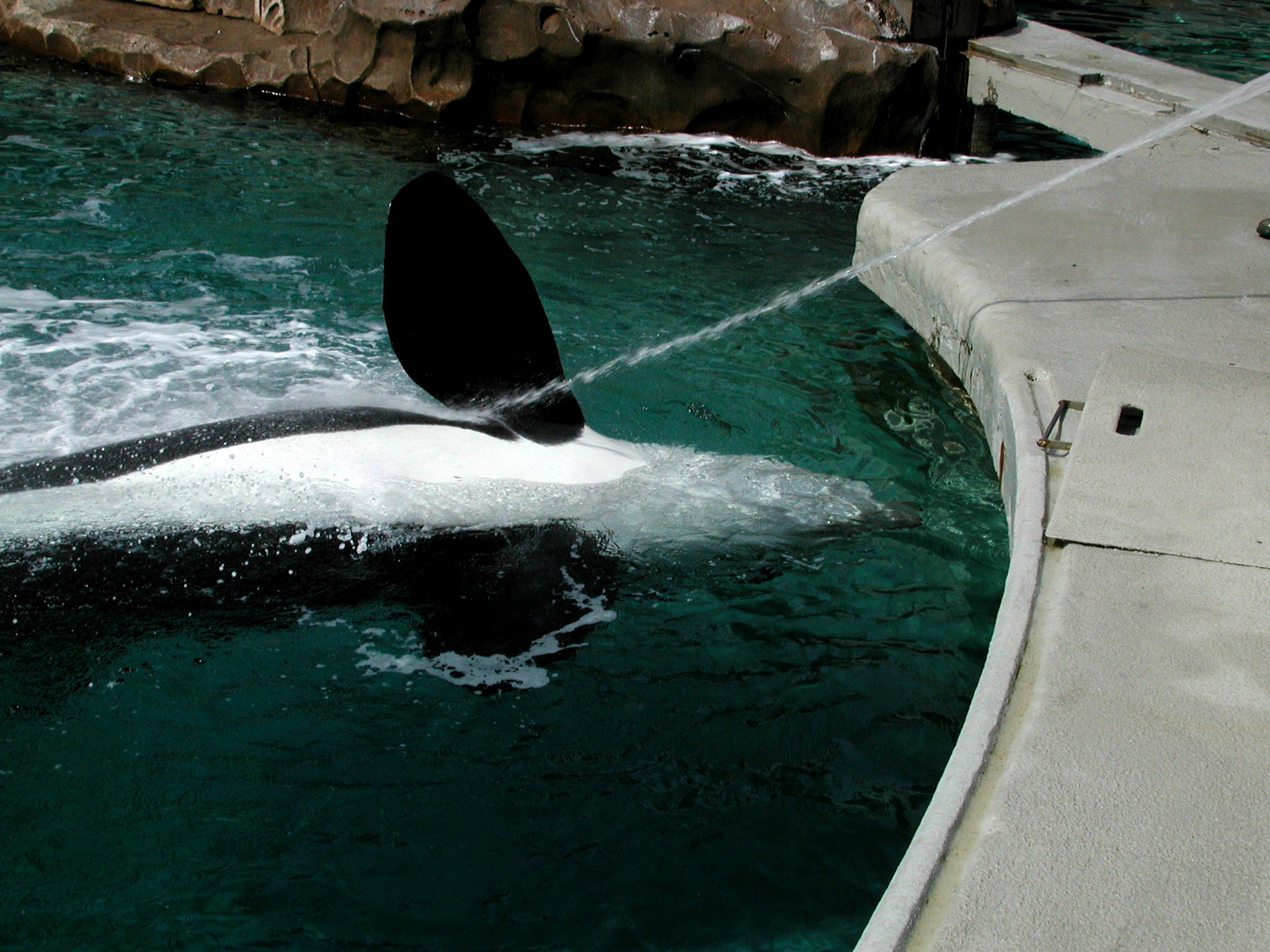 DSCN1626.JPG, 697673 bytes, 4/14/01