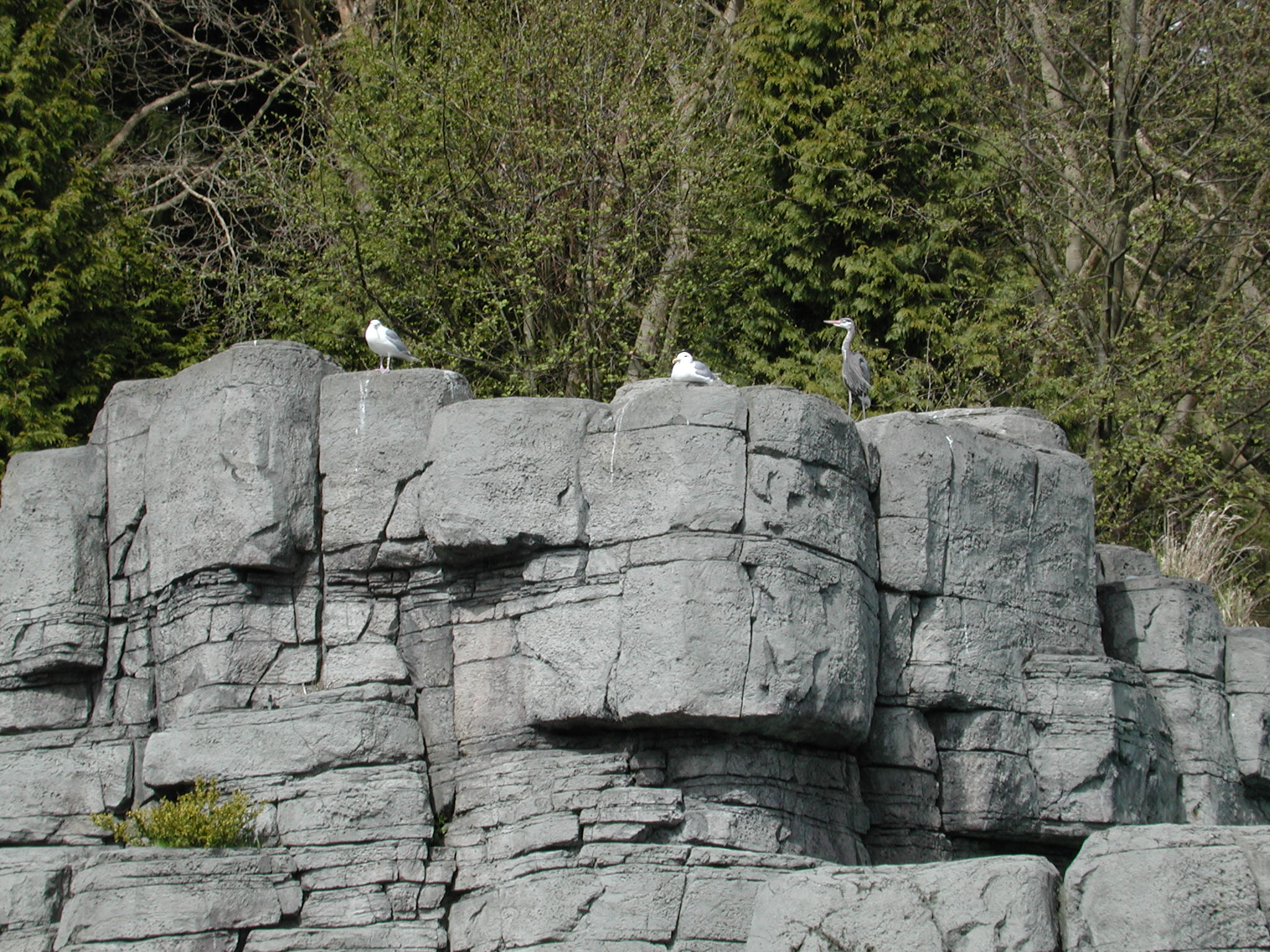 DSCN1631.JPG, 692375 bytes, 4/14/01