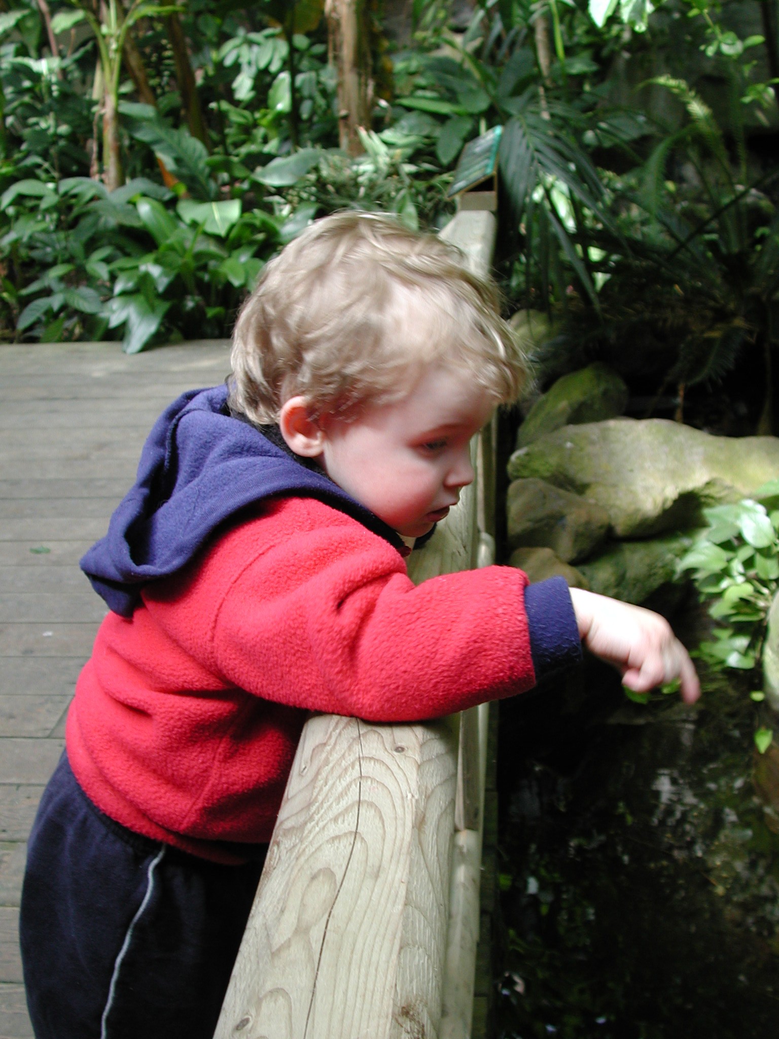 DSCN1639.JPG, 587434 bytes, 4/15/01