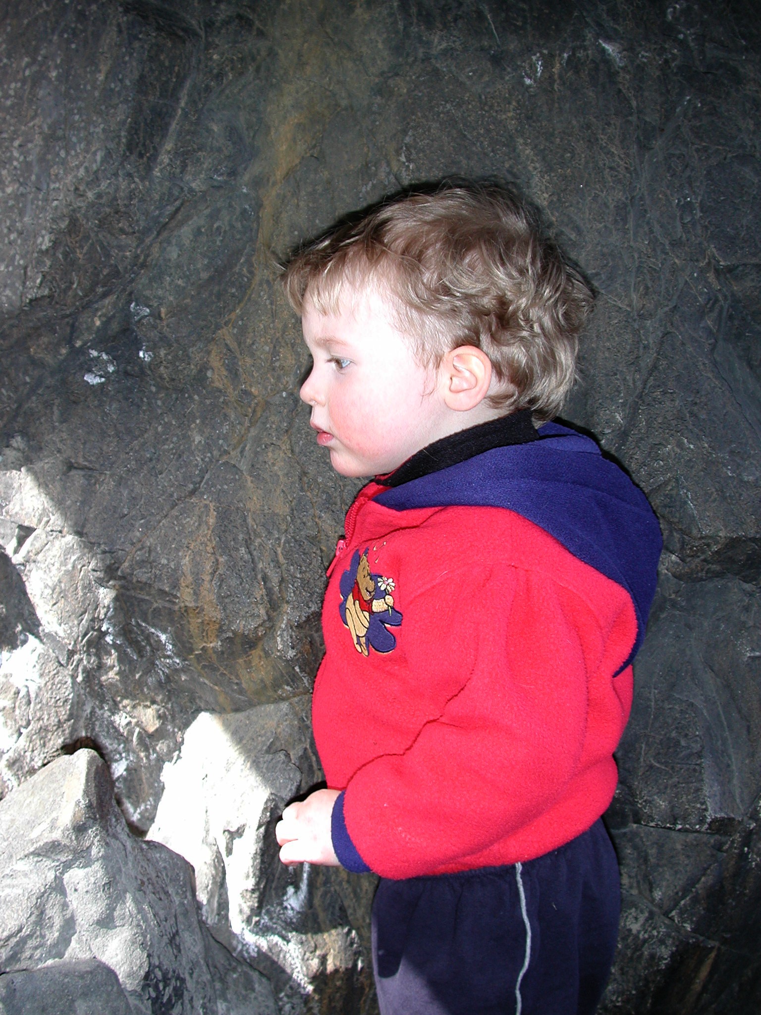 DSCN1643.JPG, 743742 bytes, 4/15/01