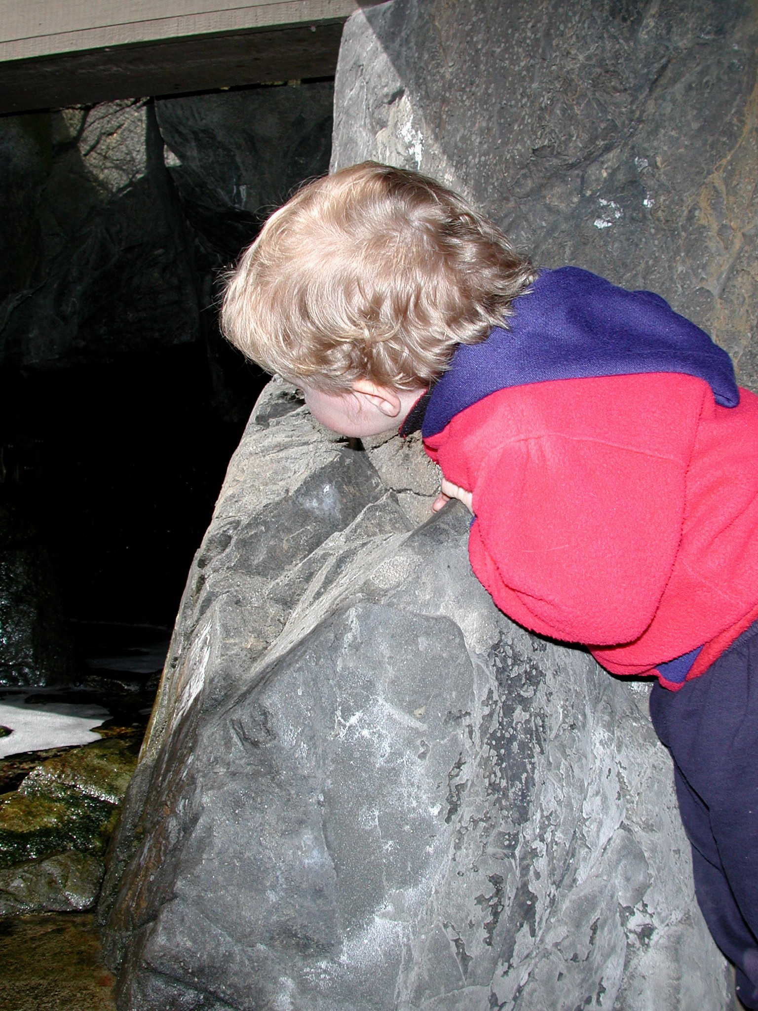 DSCN1646.JPG, 829169 bytes, 4/15/01