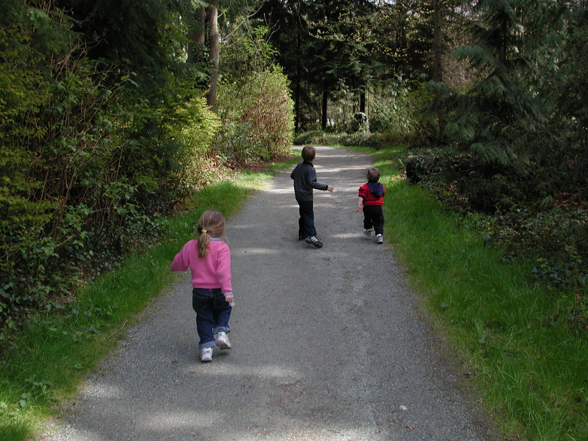 DSCN1661.JPG, 699970 bytes, 4/14/01