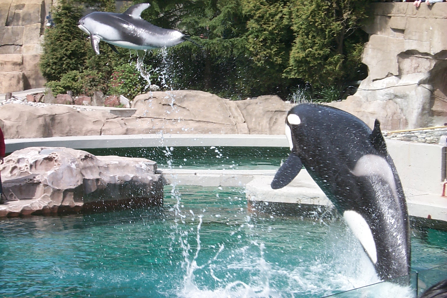 P0004029.JPG, 562129 bytes, 4/14/01