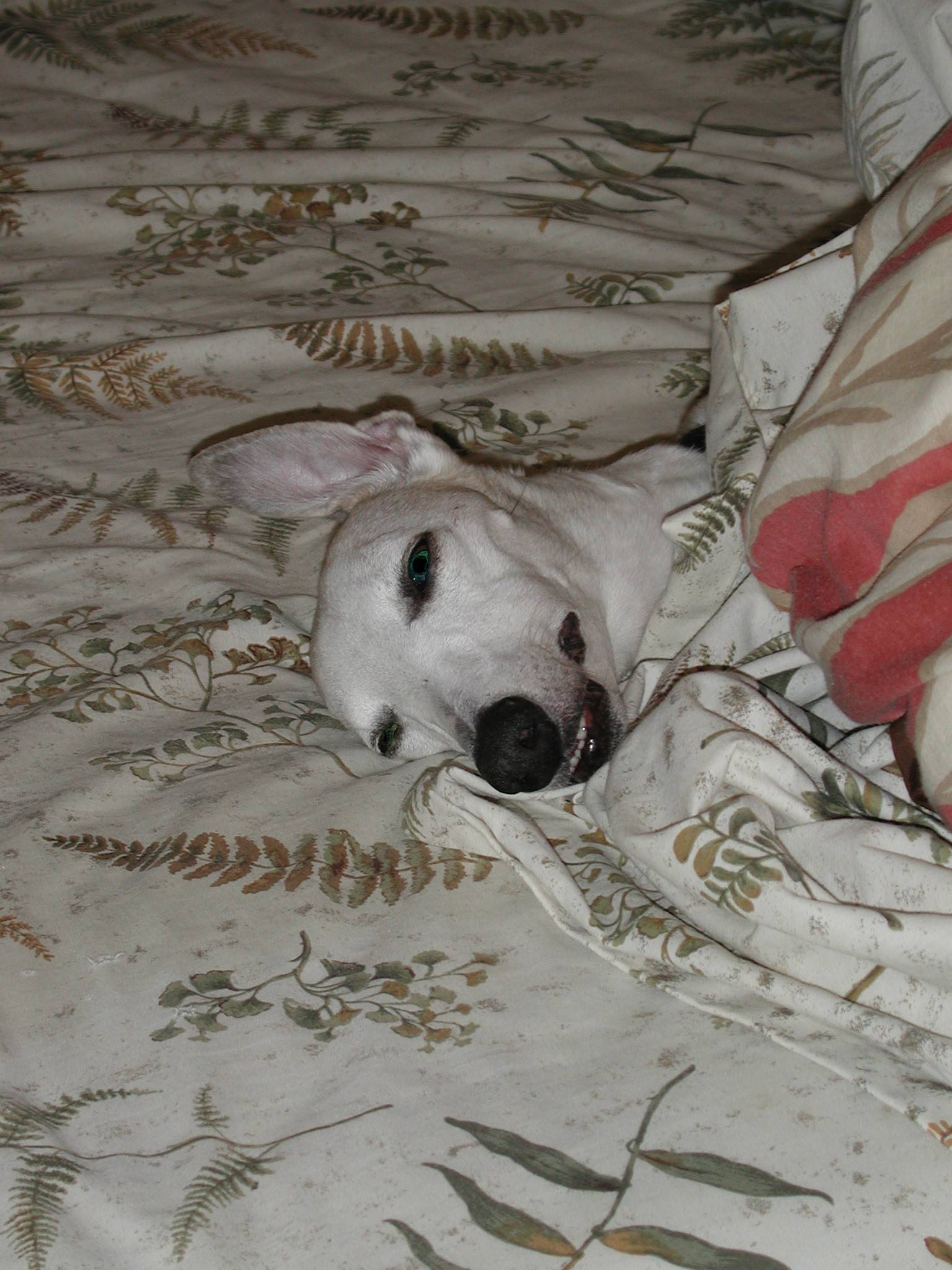 DSCN1537.JPG, 323225 bytes, 4/15/01