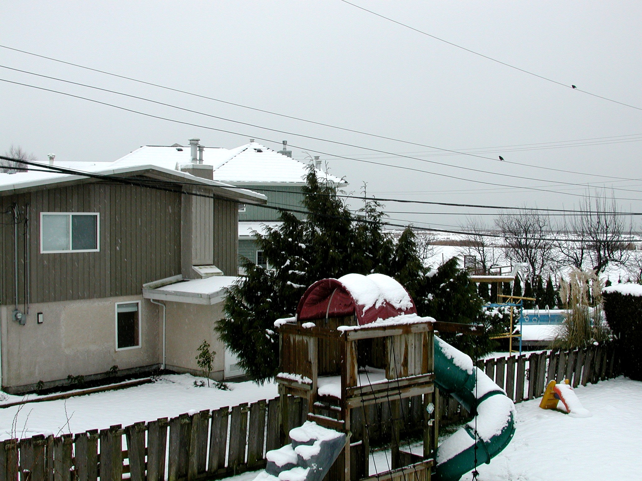 DSCN1502.JPG, 723874 bytes, 3/12/01