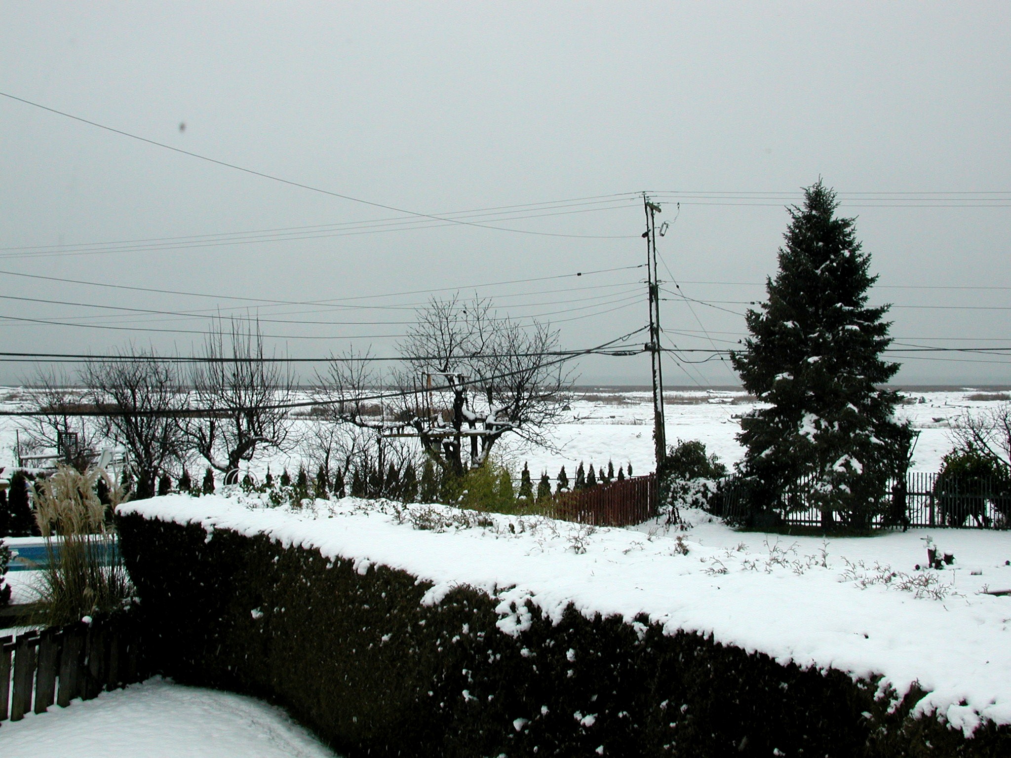 DSCN1504.JPG, 730562 bytes, 3/12/01