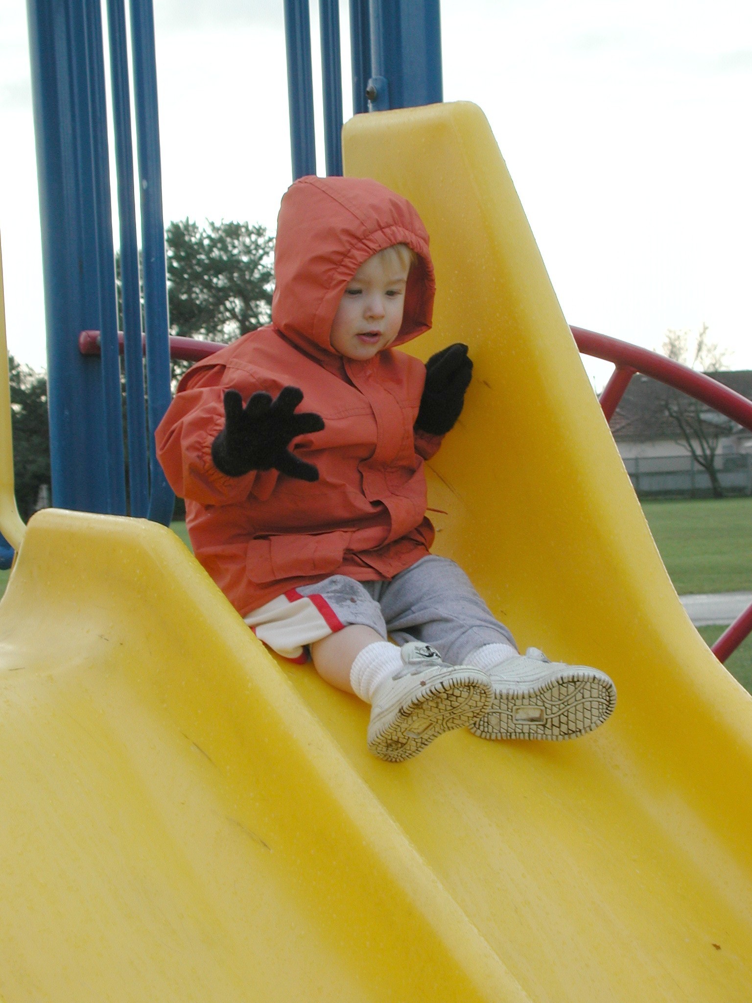 DSCN1390.JPG, 513591 bytes, 2/01/01