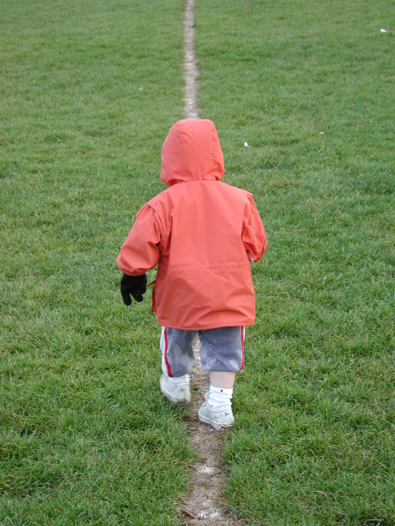 DSCN1402.JPG, 809155 bytes, 2/01/01