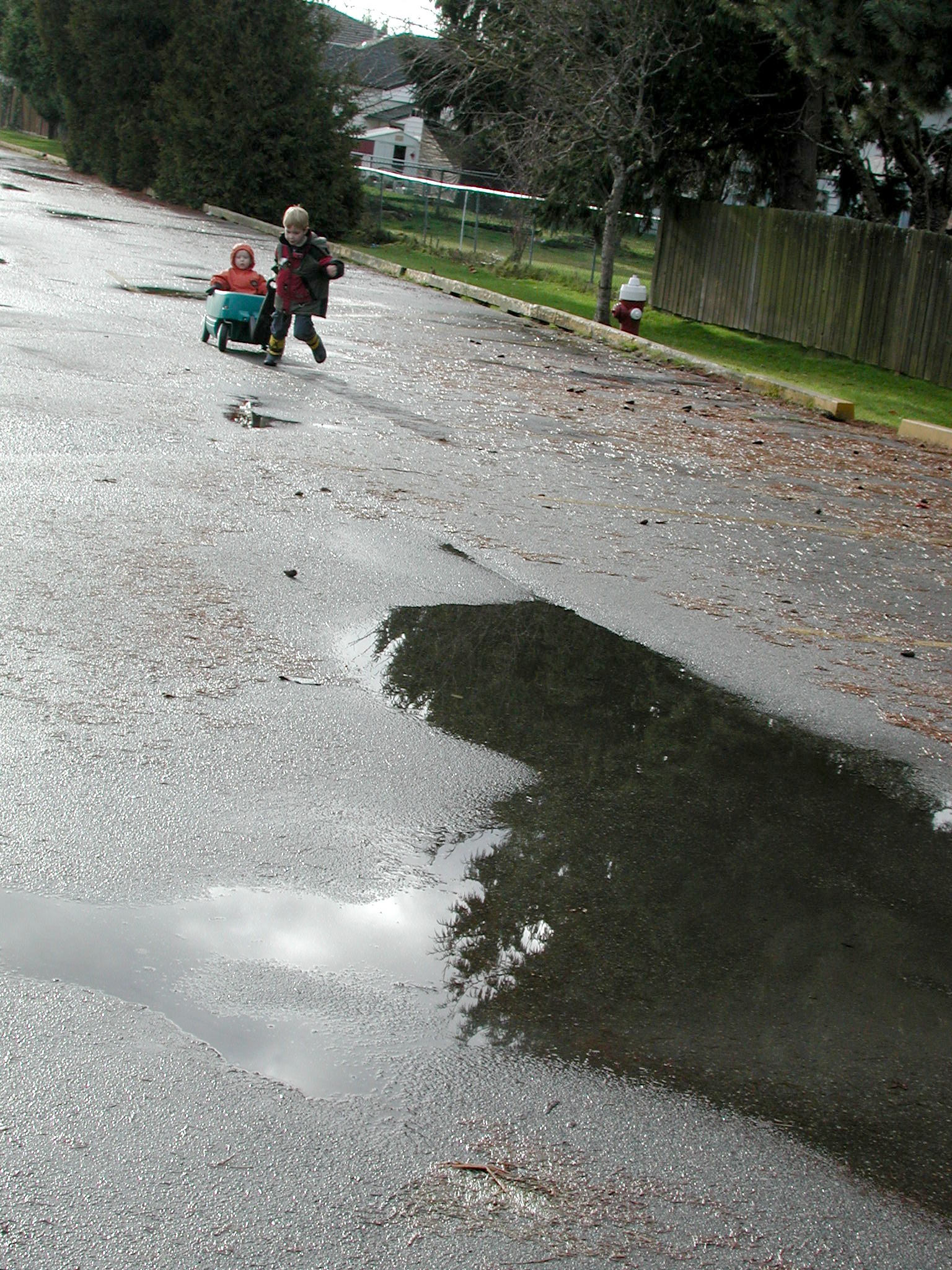 DSCN1421.JPG, 960769 bytes, 2/01/01