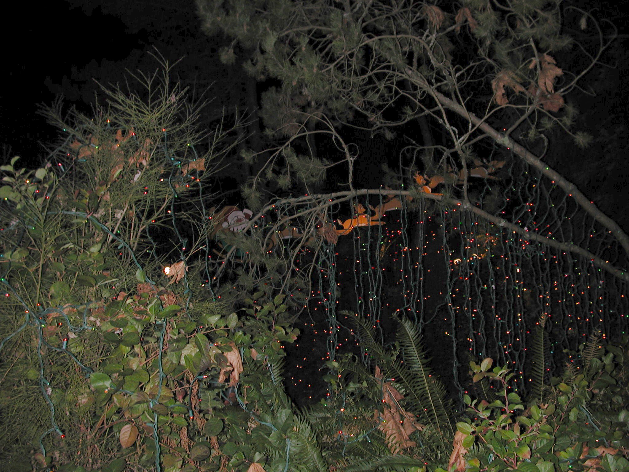 DSCN1480.JPG, 782952 bytes, 2/01/01