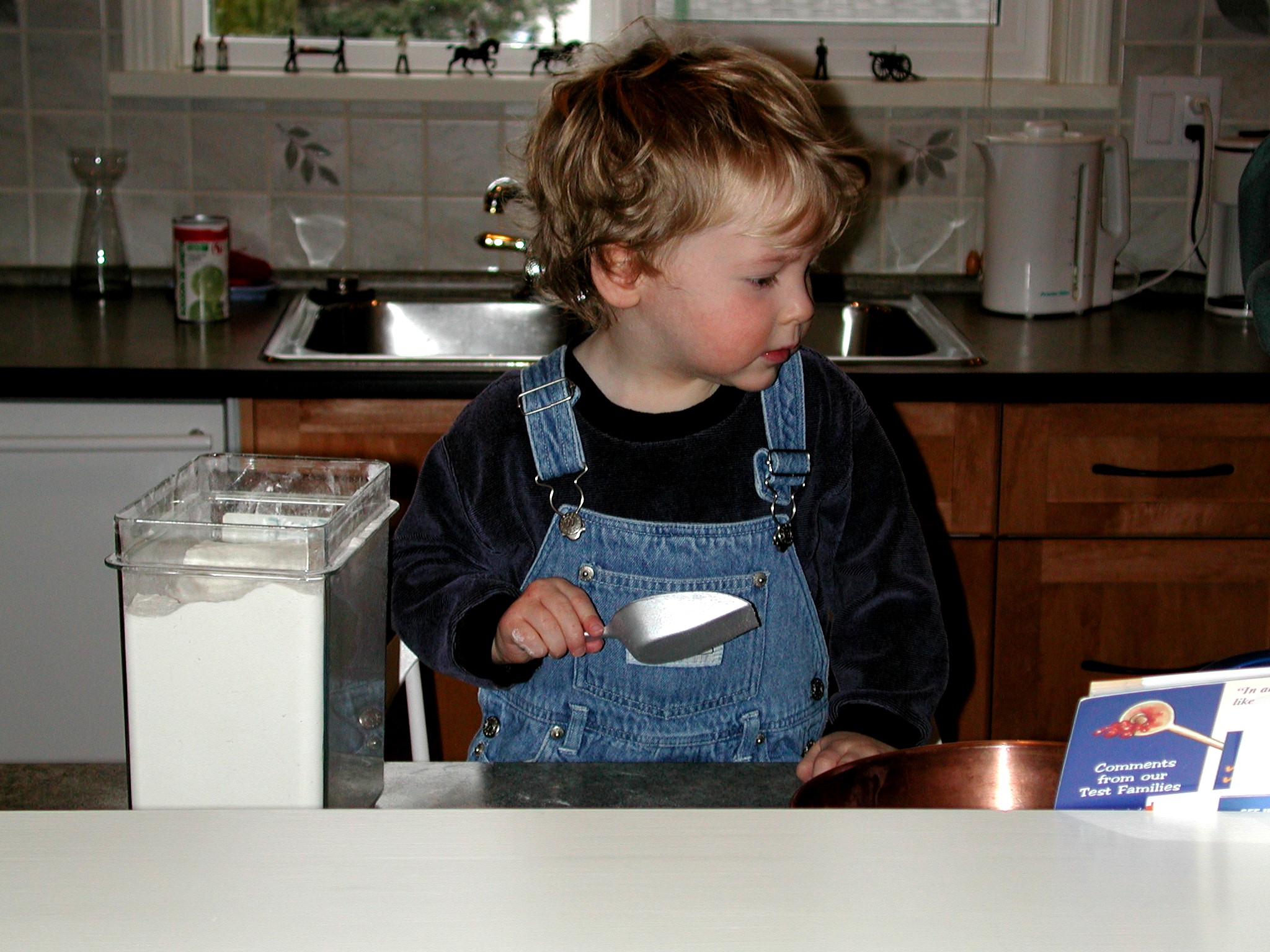 DSCN1530.JPG, 632617 bytes, 4/15/01