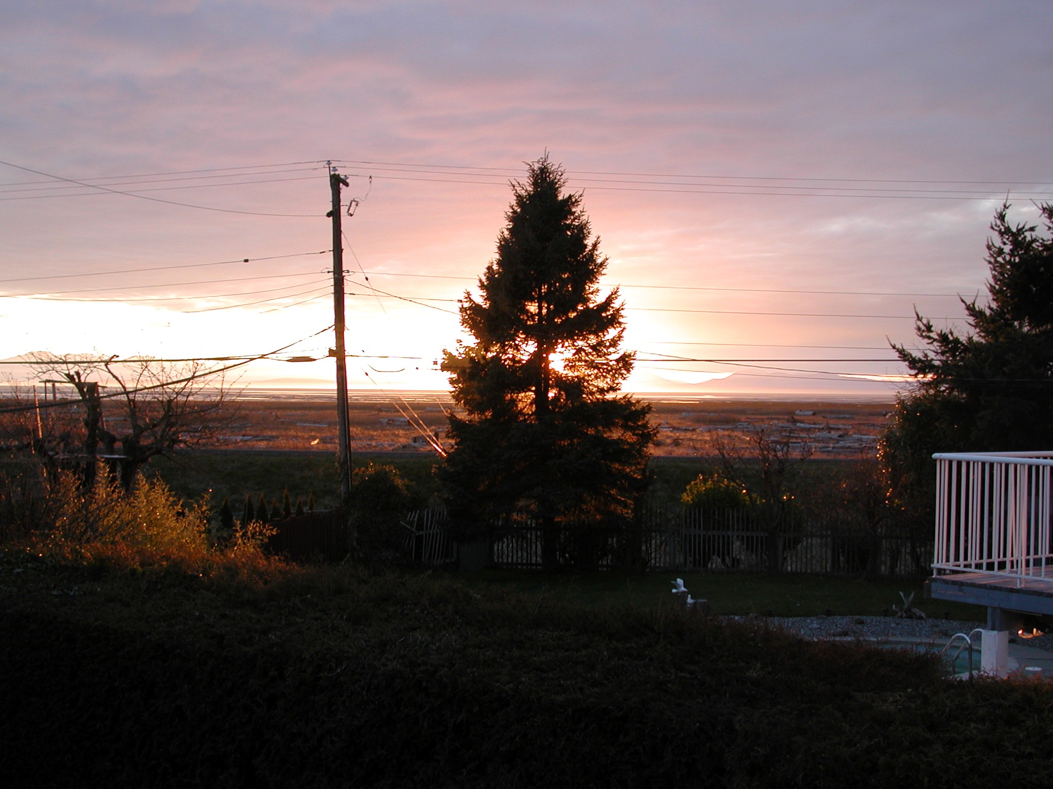 DSCN1527.JPG, 550165 bytes, 3/12/01