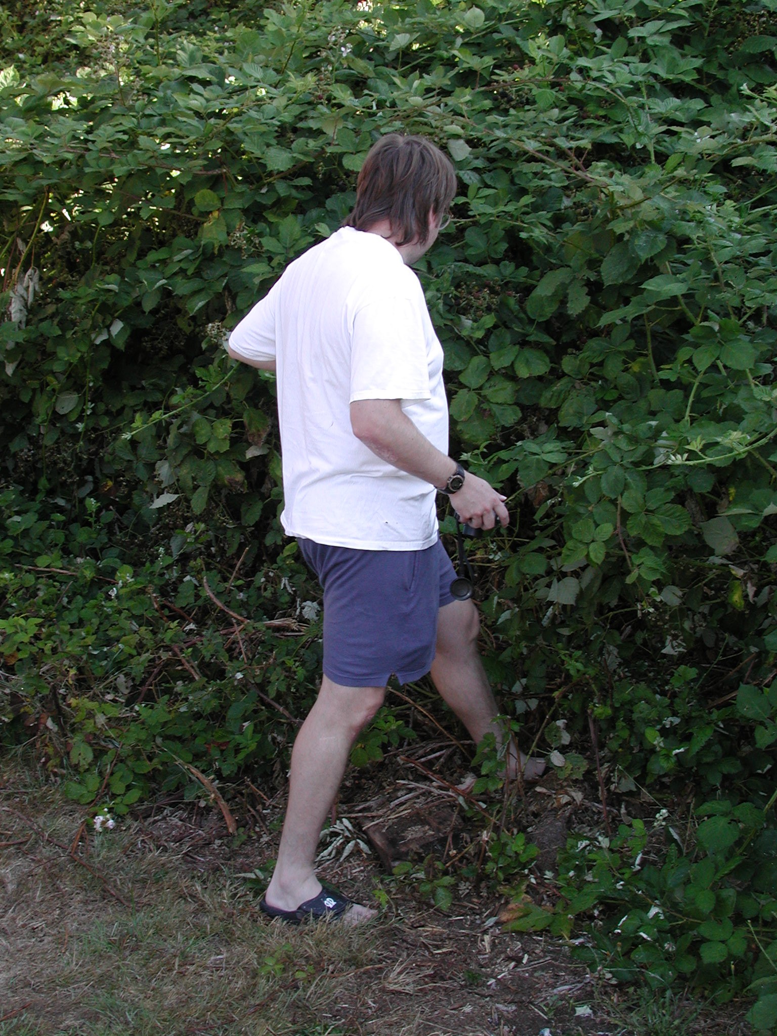 DSCN1954.JPG, 828374 bytes, 8/28/01