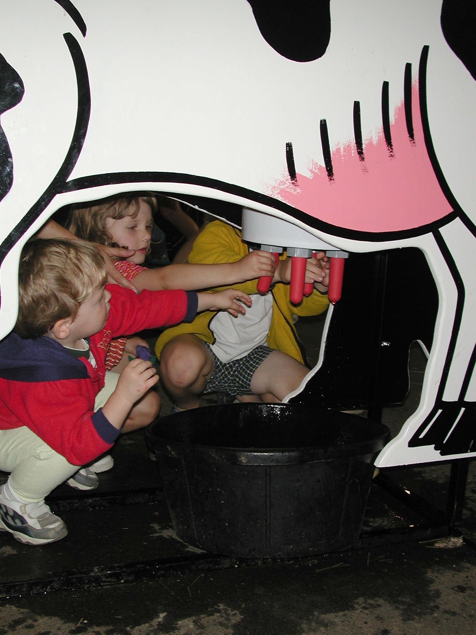 DSCN2131.JPG, 563808 bytes, 9/03/01