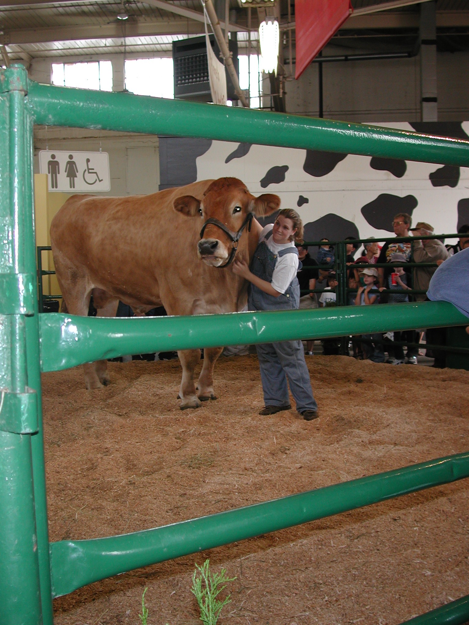 DSCN2132.JPG, 685089 bytes, 8/29/01