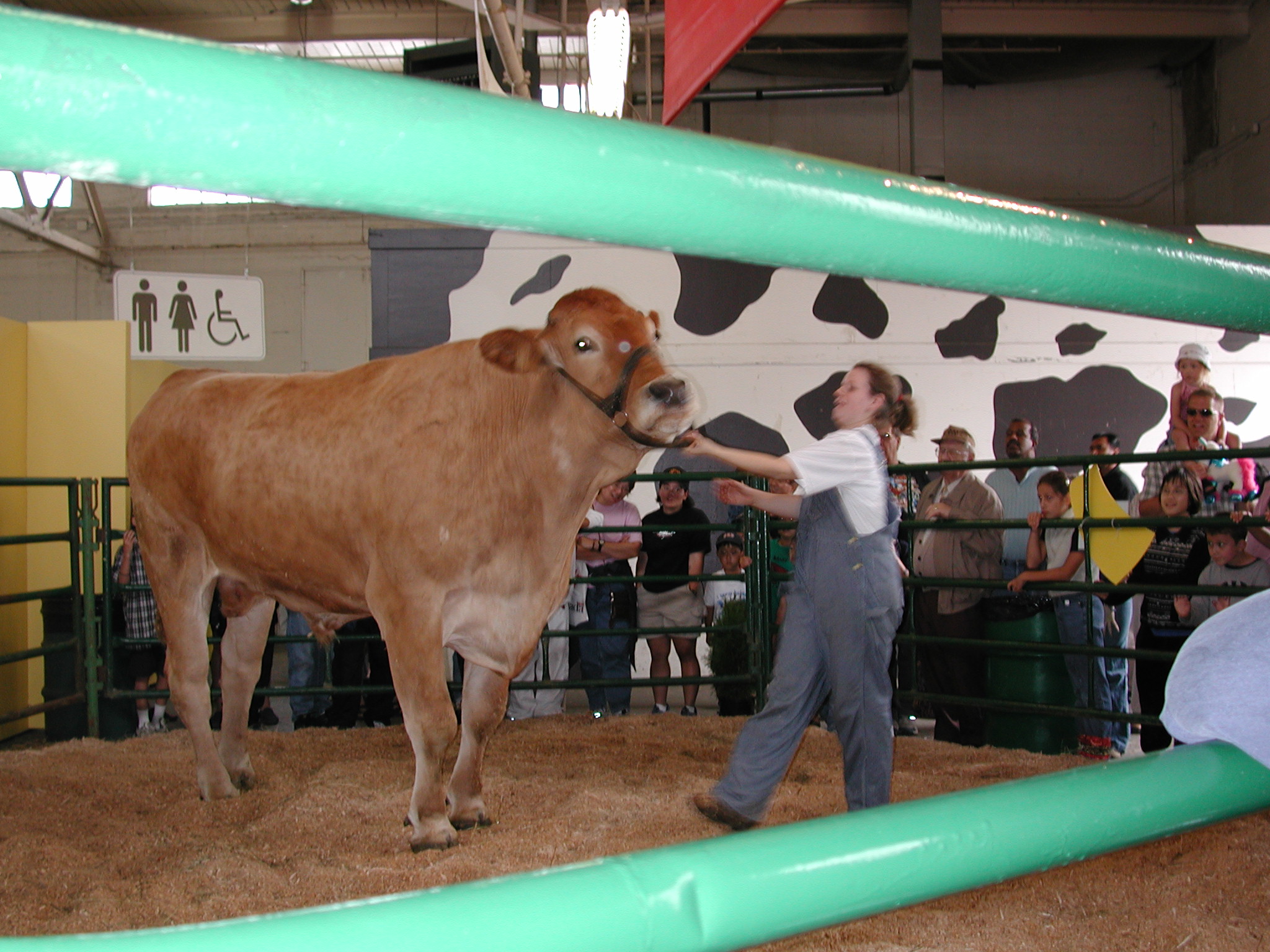 DSCN2133.JPG, 690512 bytes, 8/25/01