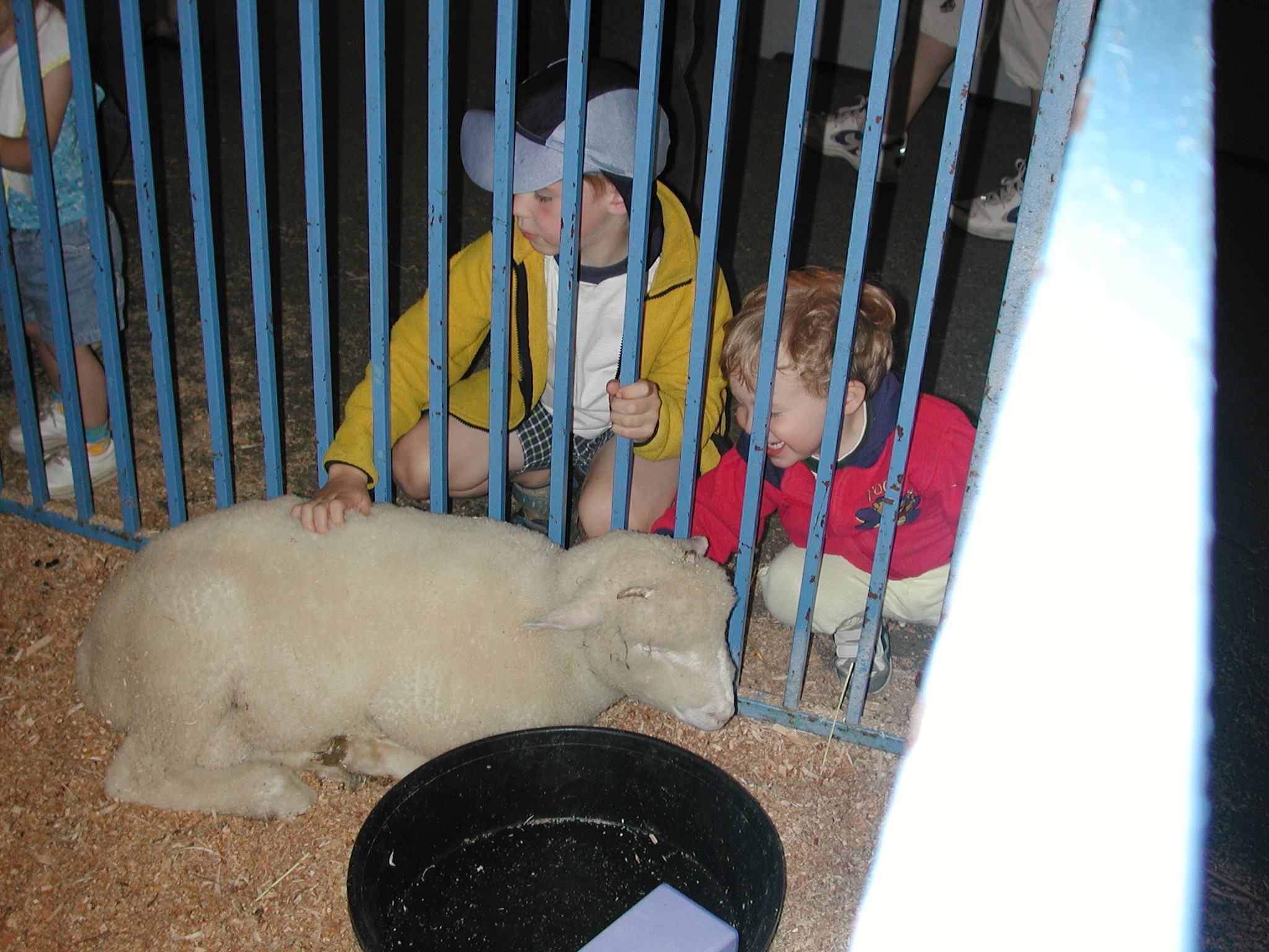 DSCN2135.JPG, 608163 bytes, 9/03/01