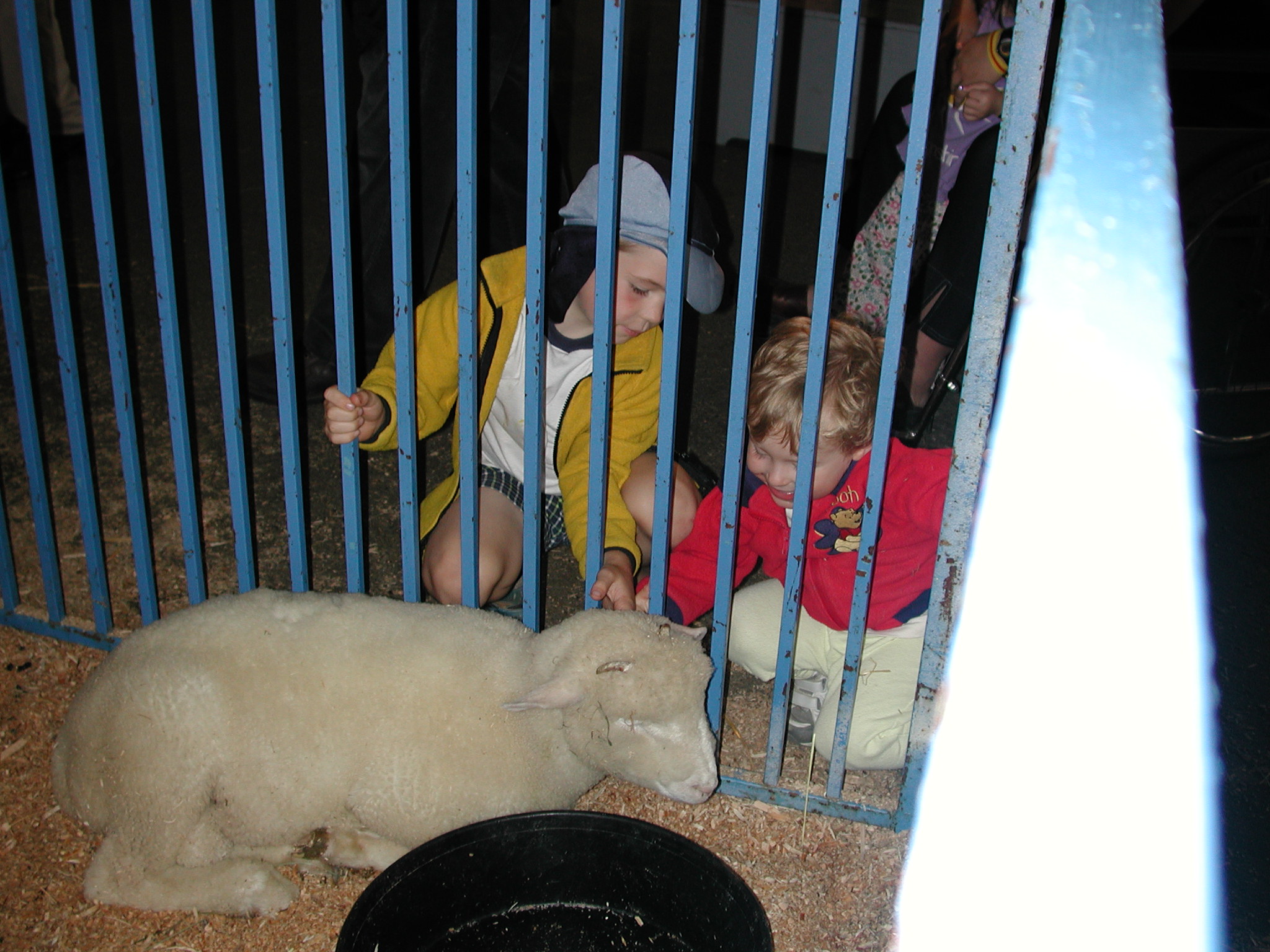 DSCN2136.JPG, 623127 bytes, 8/25/01